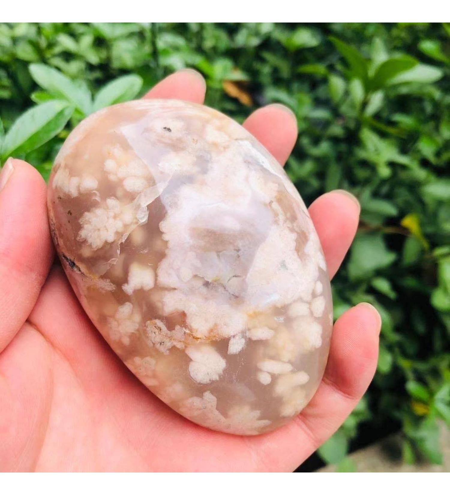 1pc 35g-260g Natural Polished Cherry Blossom Flower Agate Palm Stone forGifts Can be Used for (Color : 35g-55g) HOMEZHOU (Color : 110g-130g) - Buy Online on GoSupps.com