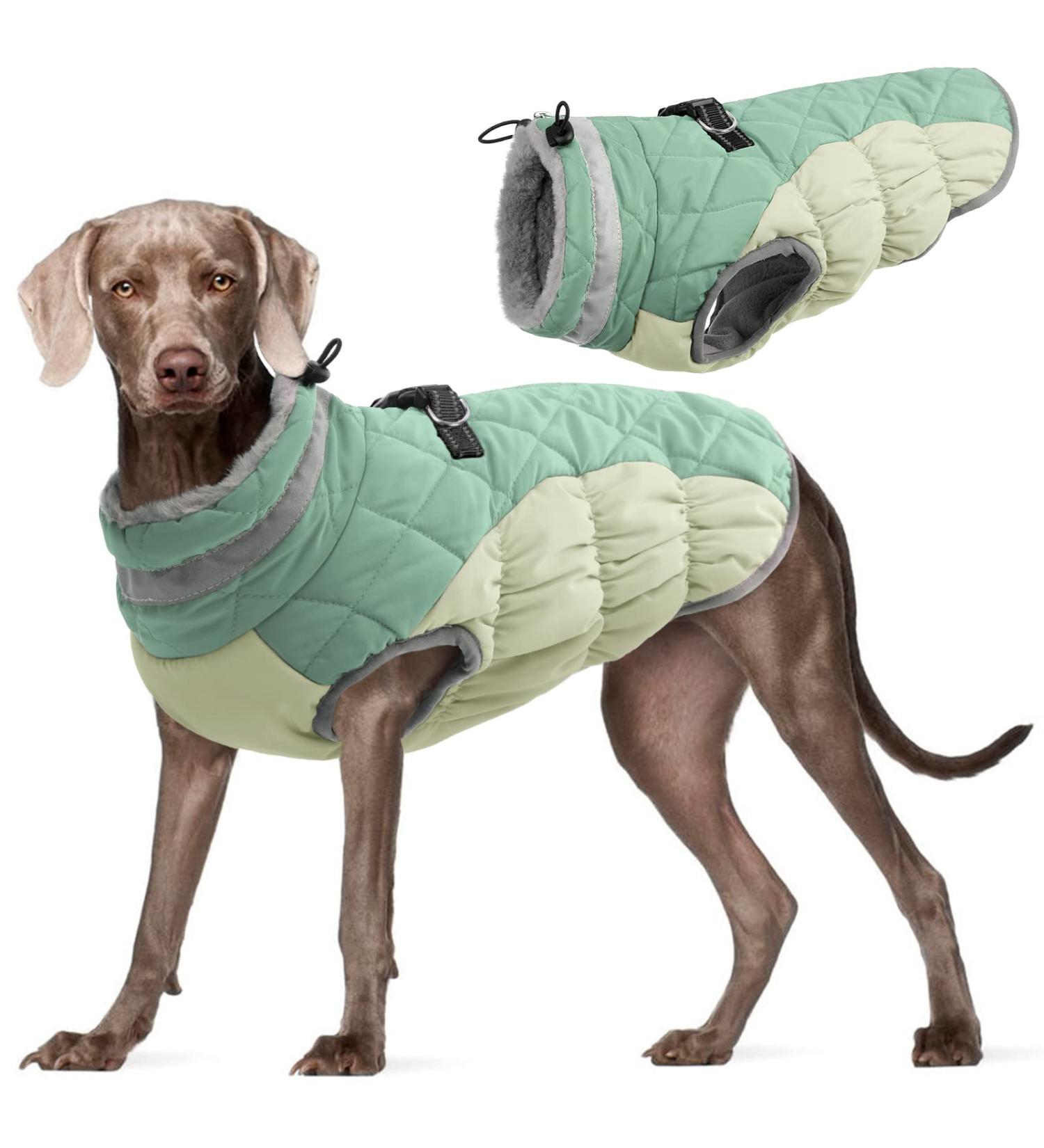 Kuoser Windproof Dog Coat - Reflective & Warm Jacket for Small & Large Dogs - Winter Outdoor Zippered XL Green - Buy Online on GoSupps.com