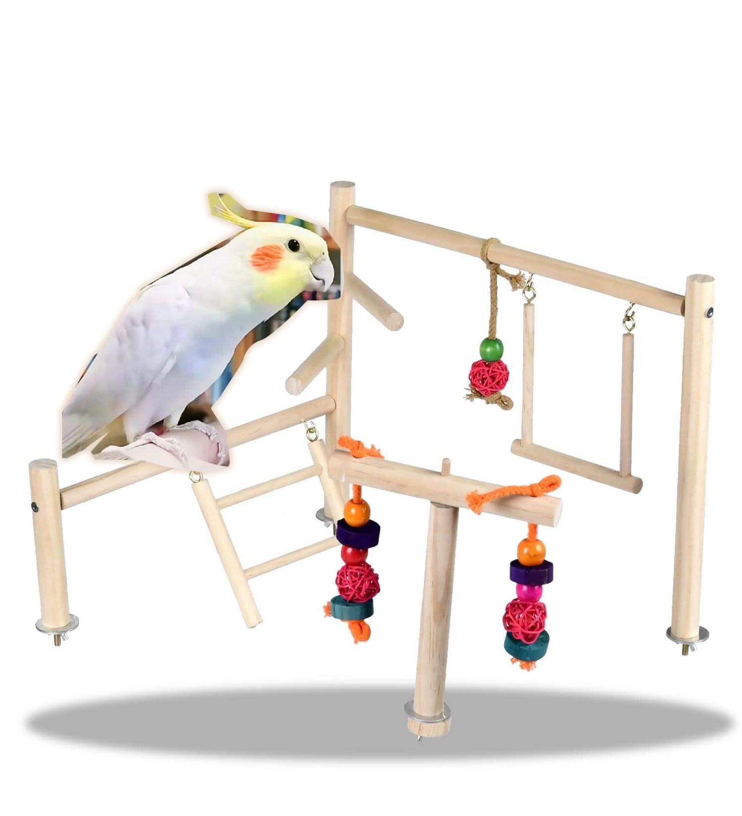 Mrli Pet Play Stand for Birds - Parrot Playstand with Perch Gym, Ladder, Toys, and Feeder Cups - Buy Online on GoSupps.com