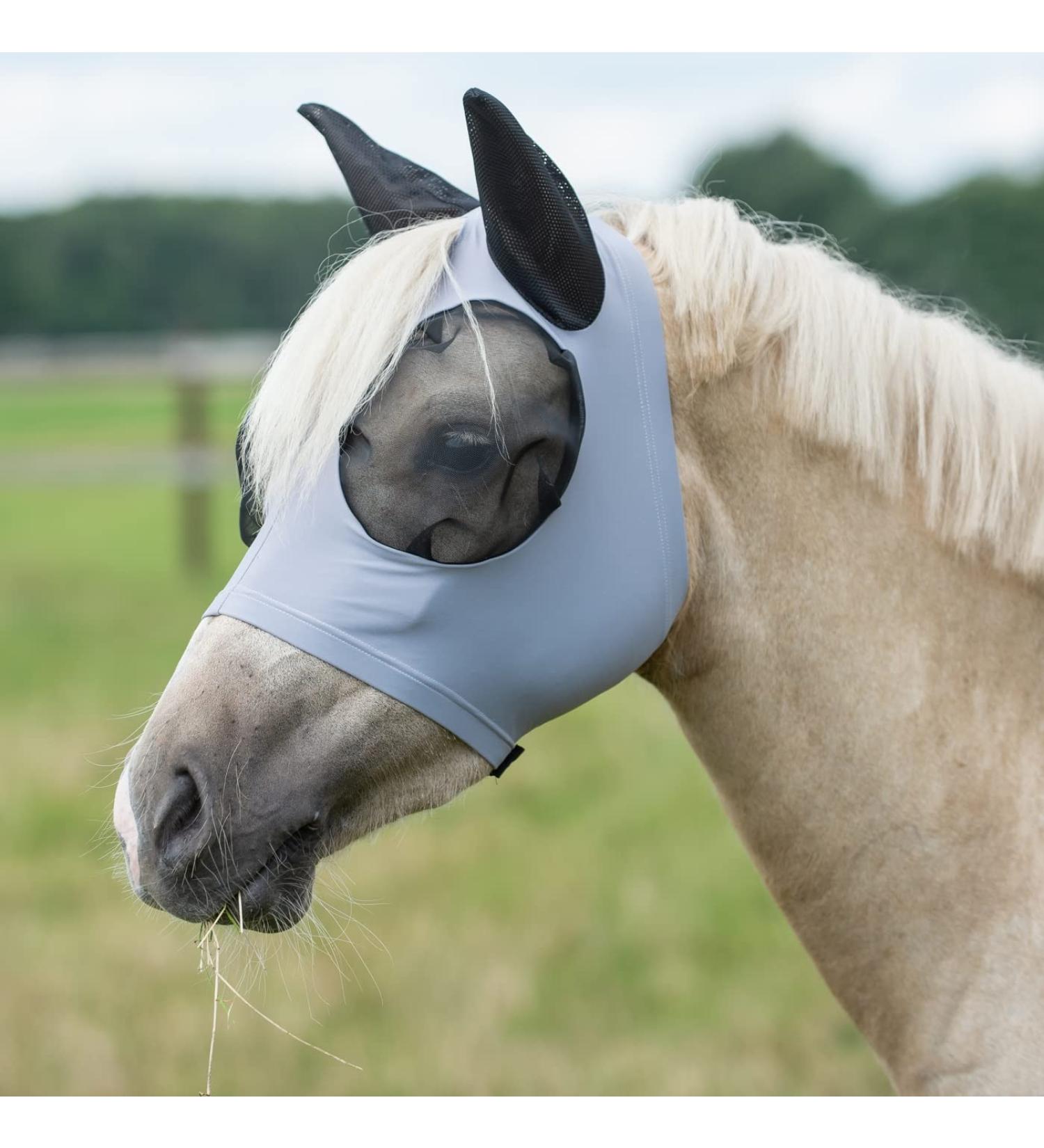 Buy Busse Fly Mask Twin Fit Flexi - Black Warmblood Grey | International Shipping Available - Buy Online on GoSupps.com