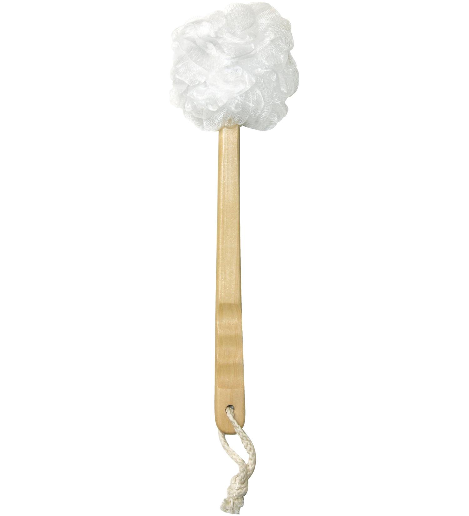 Aquasentials Exfoliating Mesh Brush - Single | 1 Count - Buy Online on GoSupps.com