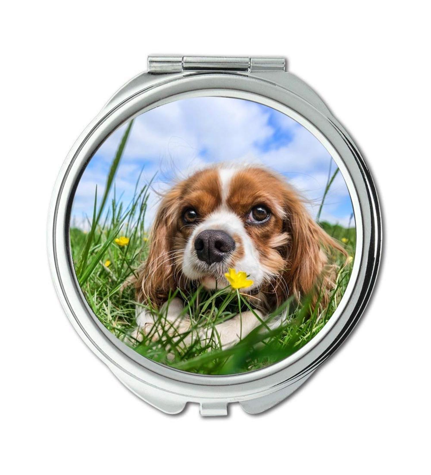Mirror Compact Mirror Dog Green Gras pocket mirror portable mirror - Buy Online on GoSupps.com
