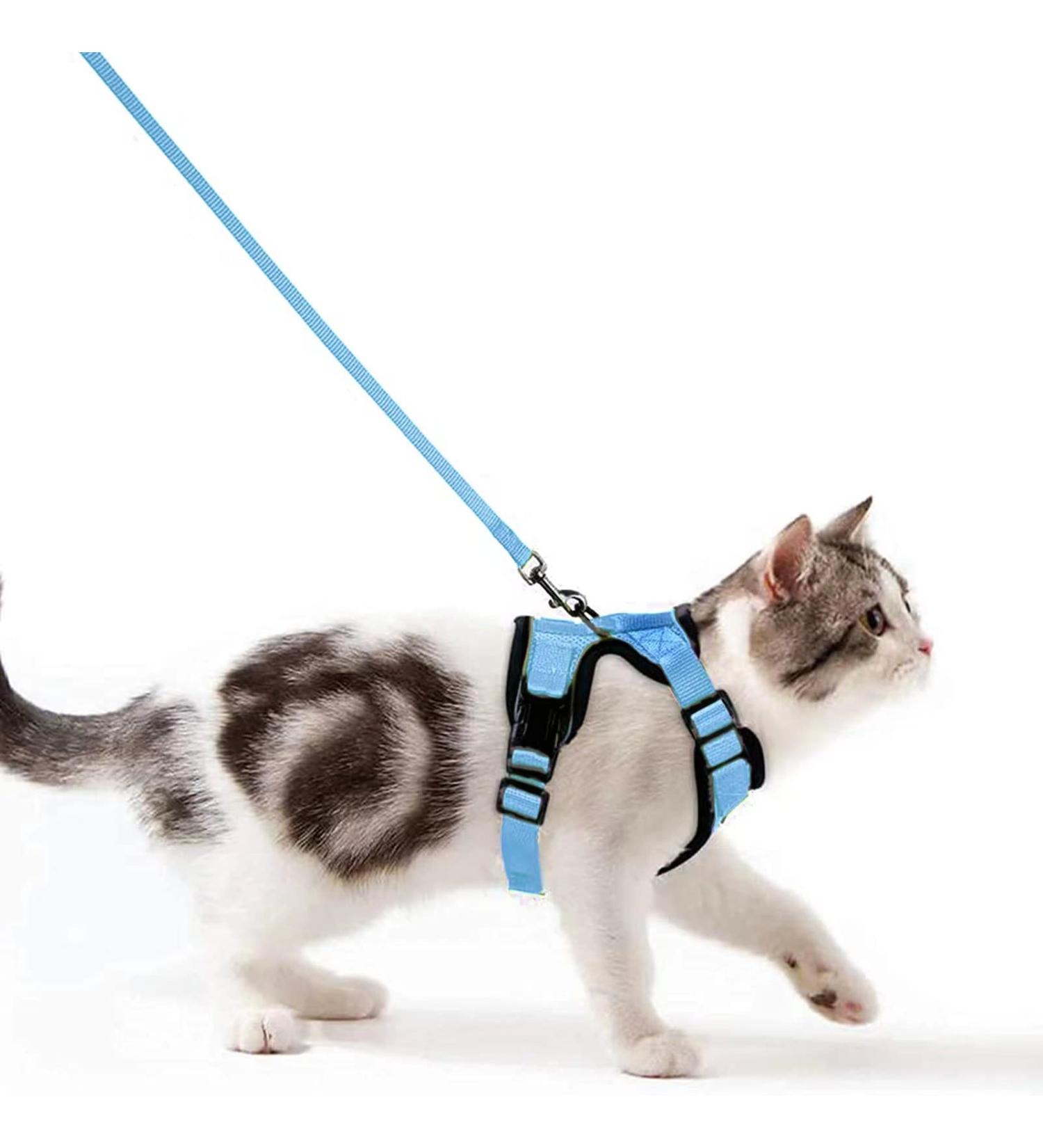 Breakproof Cat Dishes & Adjustable Soft Kitten Vest Set - Light Blue XS | Reflective Stripes for Safety - Buy Online on GoSupps.com