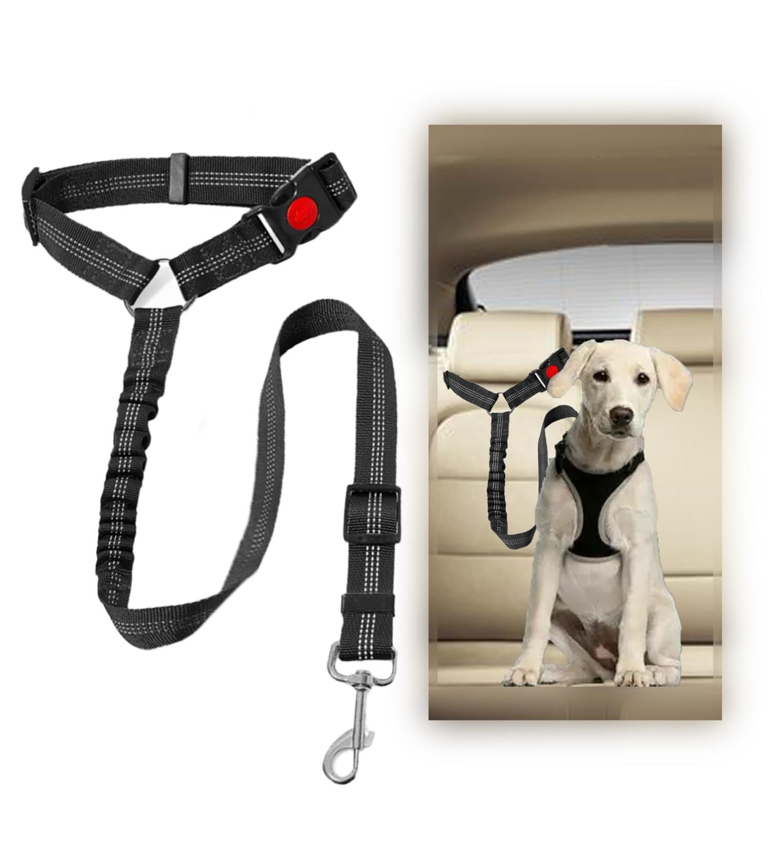 Adjustable Dog Car Seat Belt & Safety Harness - Buckling Accessory for Back Seat & Trunk - International Shipping - Buy Online on GoSupps.com