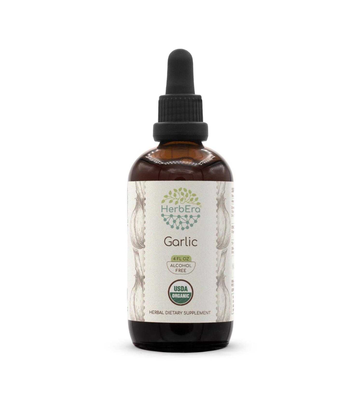 HerbEra Garlic USDA Organic Tincture | Alcohol-Free Extract High-Potency Herbal Drops | Certified Organic Allium Sativum Dried Bulb (4 Fl Oz) - Buy Online on GoSupps.com