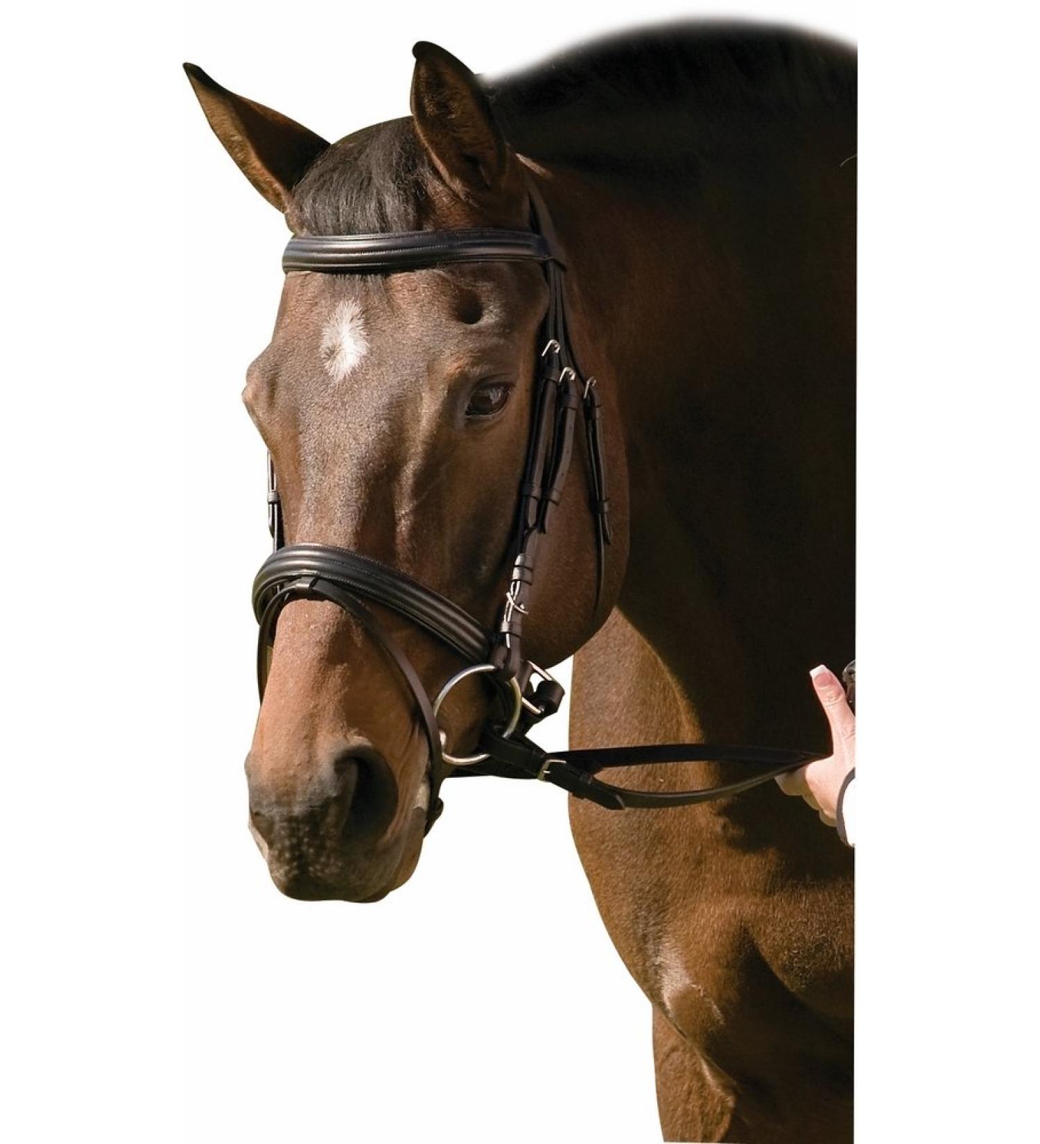 Henri de Rivel Black Padded Raised Dressage Bridle with Crank Noseband for Horse - Buy Online on GoSupps.com