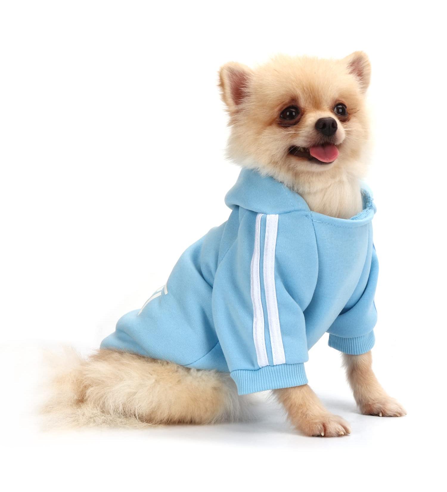 QiCheng&LYS Dog Coat Cute Cotton Hoodies for Pets | Warm Sweater for Dogs Puppies & Cats (Blue XS) Shop Now! - Buy Online on GoSupps.com
