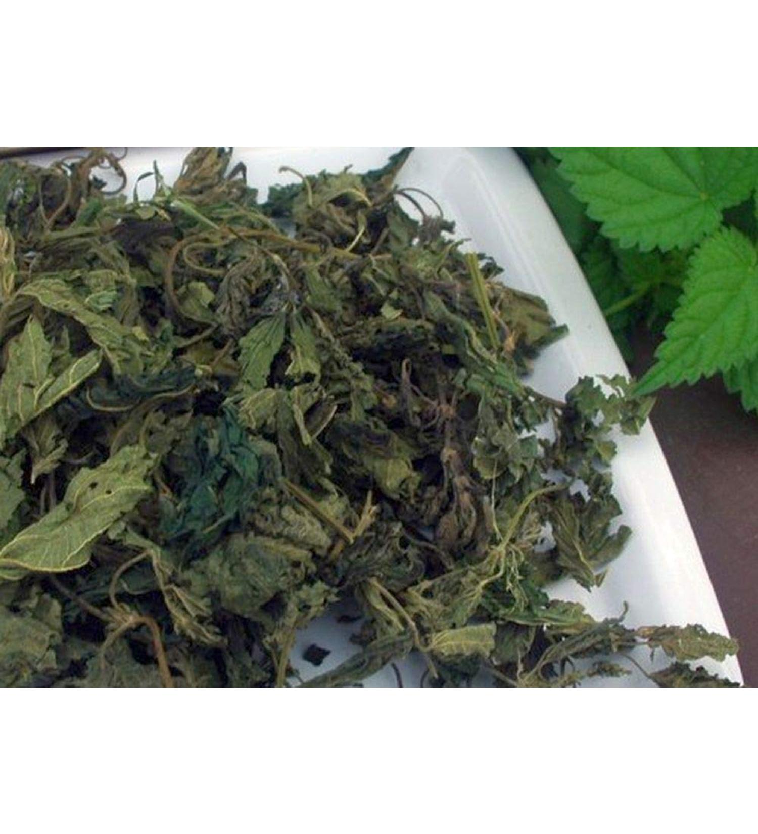 Krauterino24 Krauterino24 - Complete nettle leaves nettle tea (500g)