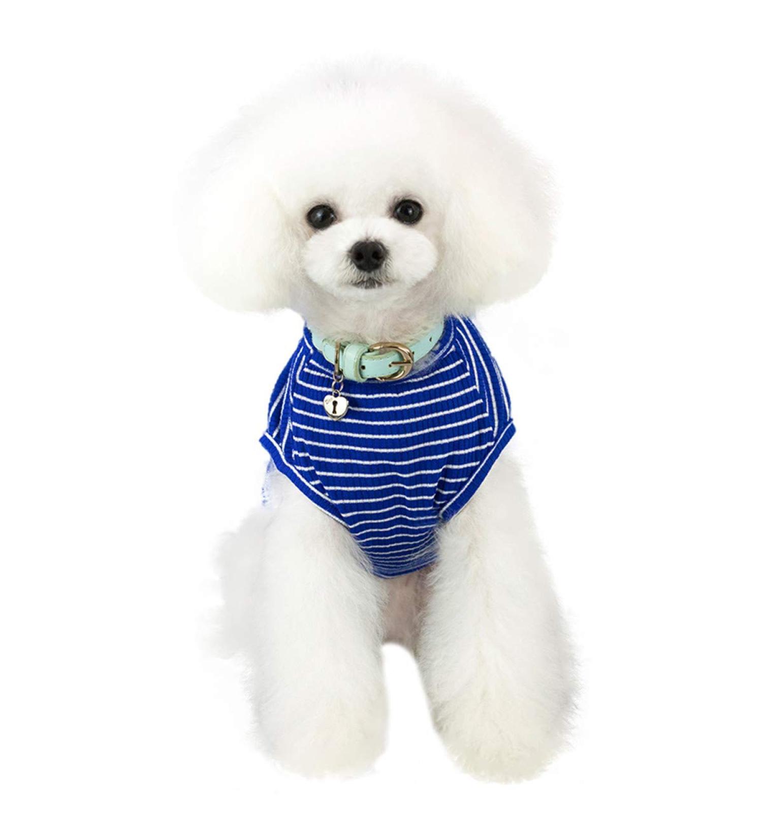 Shop Cute Striped Pet Sweater for Small Dogs - Cozy Puppy Clothes in Pink Red Blue & Gray | Ideal for 1.2-9.0 kg | International Shipping Available! - Buy Online on GoSupps.com