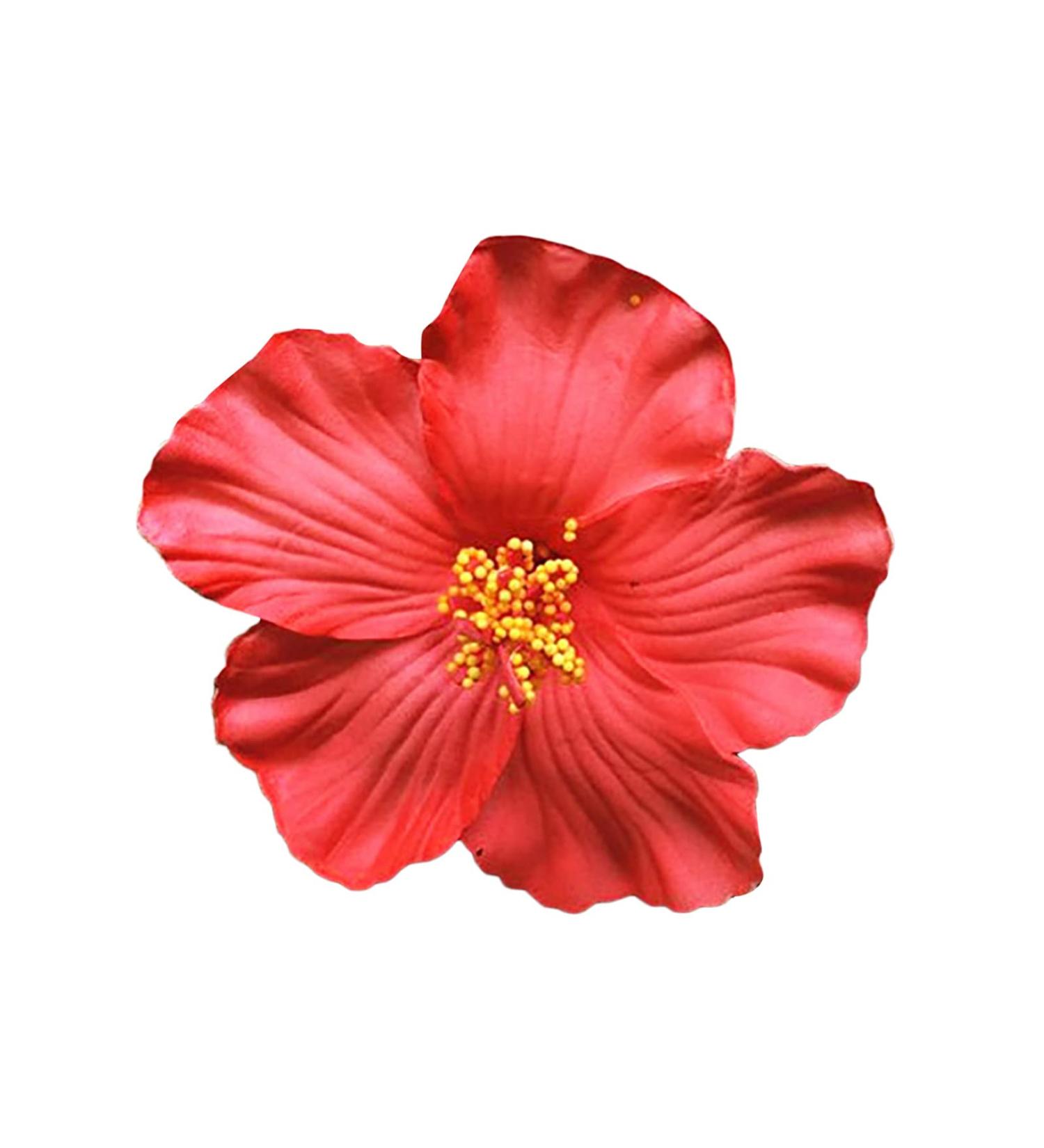 Buy Multicolored Rose Hair Clip - Elegant Flower Hair Jewelry for Women & Girls | Perfect for Parties Beach & Weddings (1 Piece Red) - Buy Online on GoSupps.com