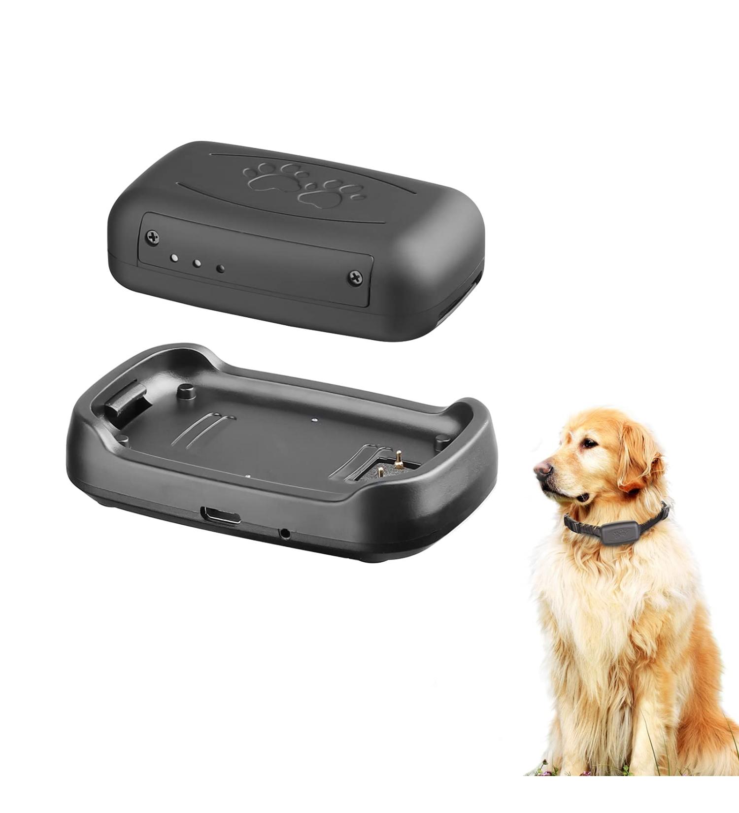 Waterproof GPS Tracker for Dogs - Unlimited Range, Compatible with Android & iOS - Buy Online on GoSupps.com
