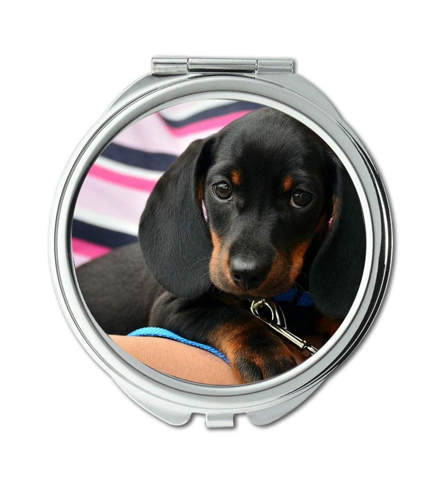 Mirror Travel Mirror Dachshund Puppy Young Animal Animal Portrait Dog Pocket Mirror portable mirror - Buy Online on GoSupps.com