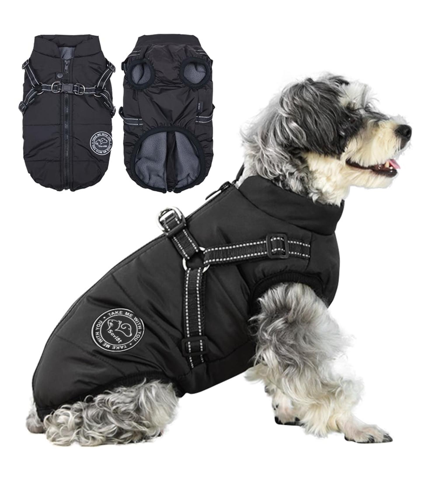 Buy Savlot Black Dog Jacket Winter Vest - Sleeveless Cotton Padded Pet Skiing Costume with Chest Strap (Size M) - Buy Online on GoSupps.com