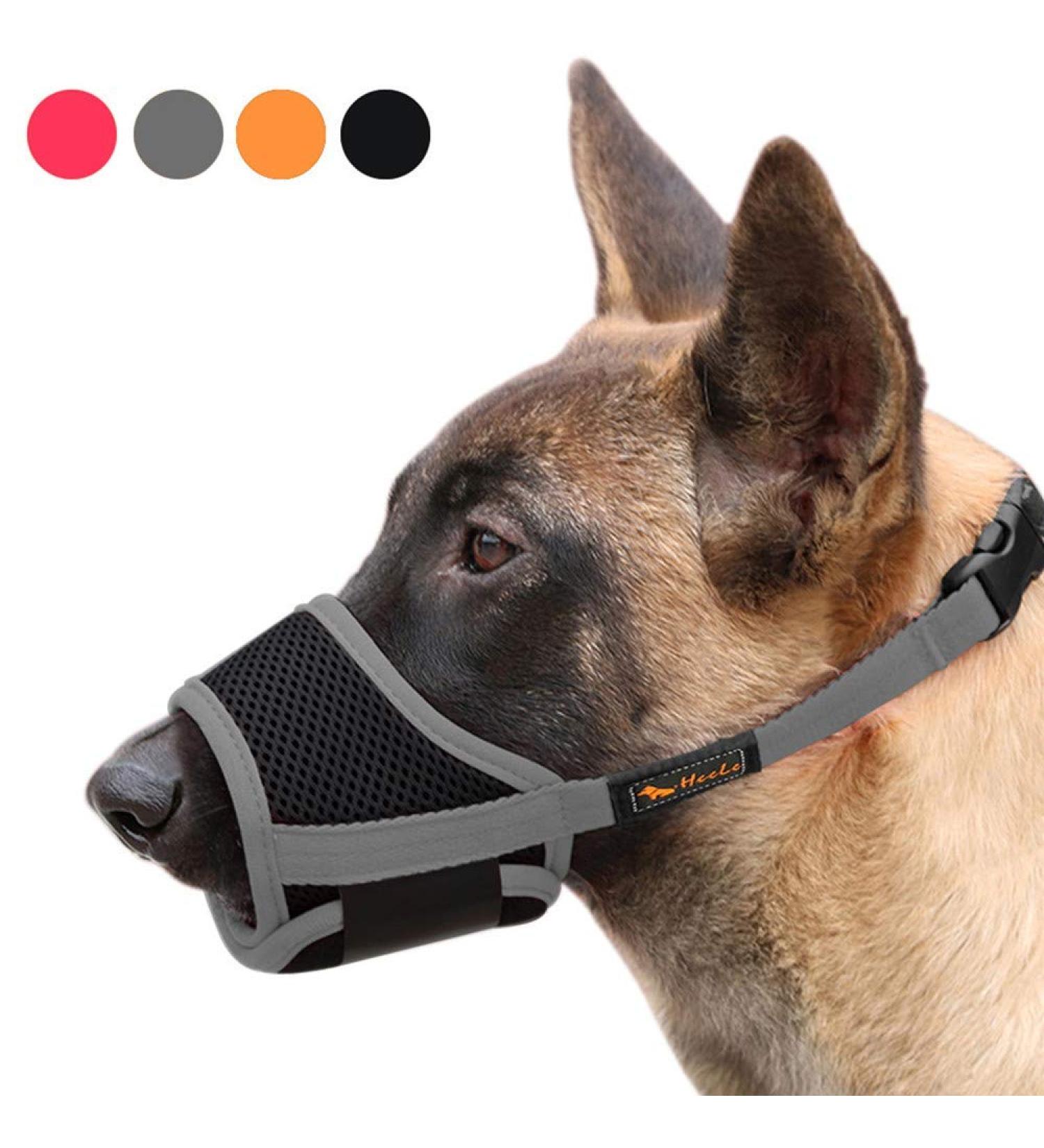Heele Adjustable Nylon Muzzle for Dogs - Breathable Safe Anti-Biting Chewing & Barking - Small to Medium (M Gray) - Buy Online on GoSupps.com