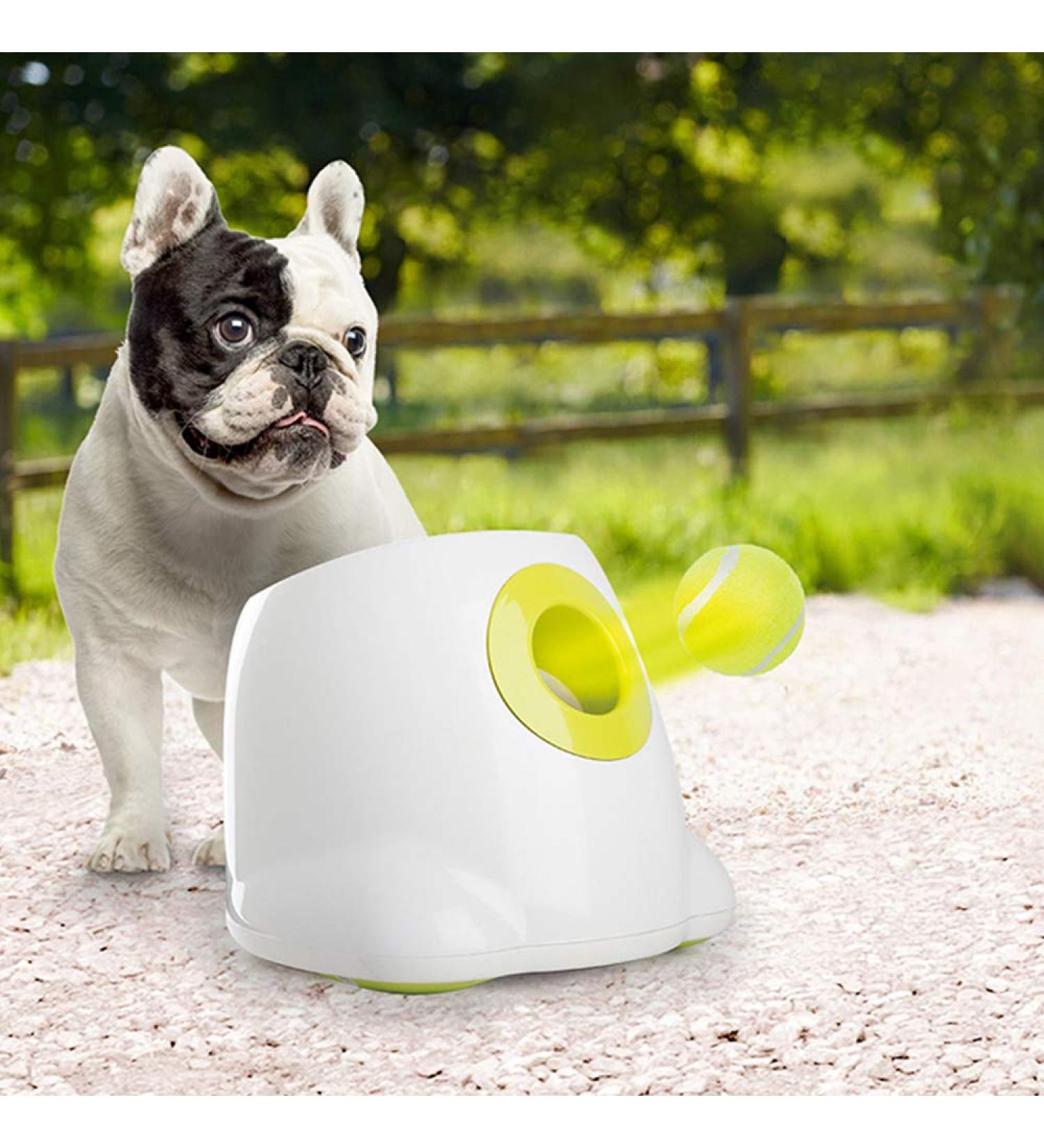 ALL FOR PAWS Automatic Dog Ball Launcher Interactive Dog Tennis Ball Thrower Interactive Puppy Pet Fetch Toy Mini Dog Ball Throwing Machine for Small and Medium Dogs With 3 PCS 2" Tennis Balls Hyper Fetch Mini - Buy Online on GoSupps.com