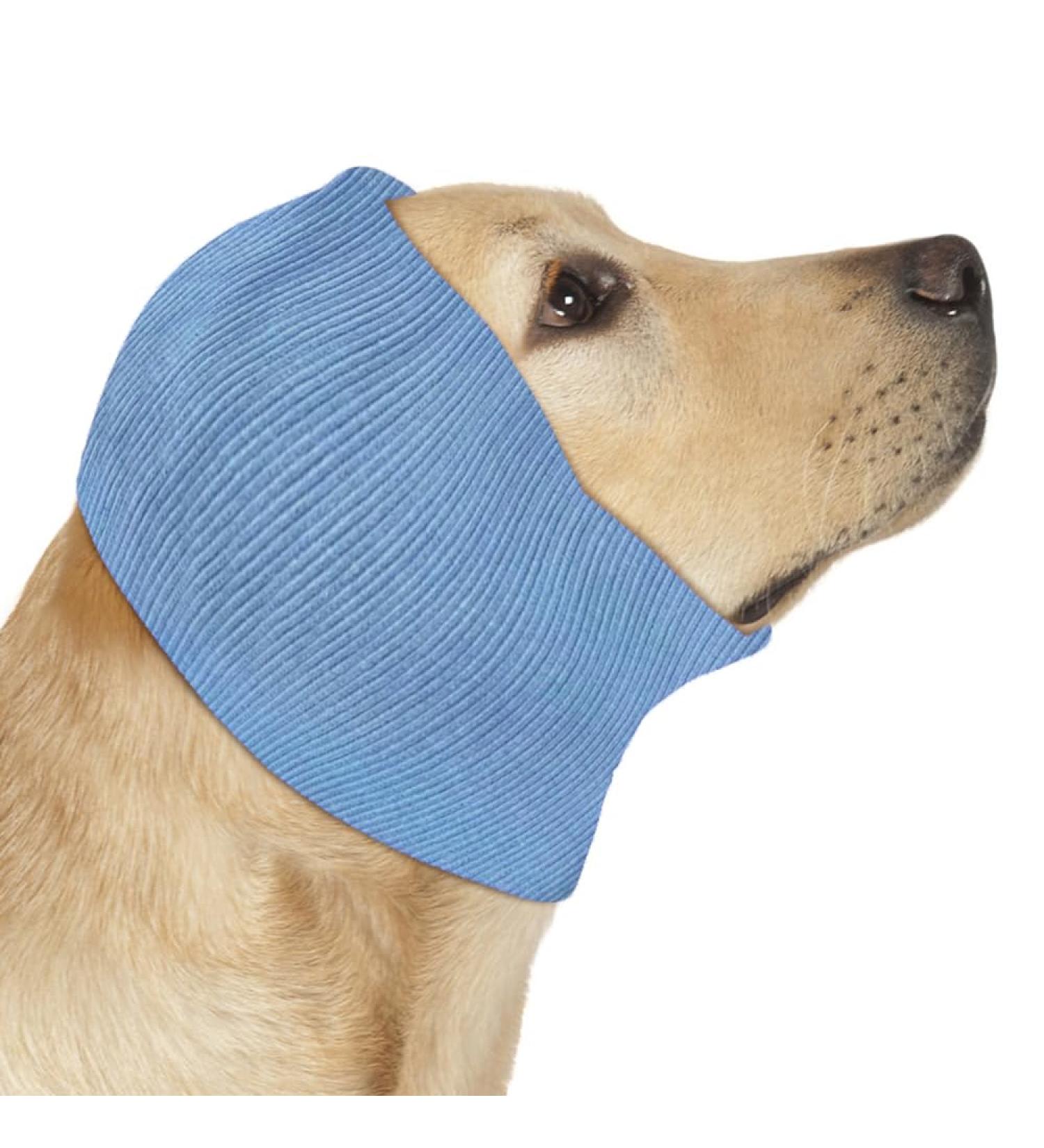 COMFPET No Flap Ear Wraps for Dogs | Dog Snood for Ear Hematoma | Pet Ear Muffs | Ear Cover for Cats and Dogs | Large (Blue) - Buy Online on GoSupps.com