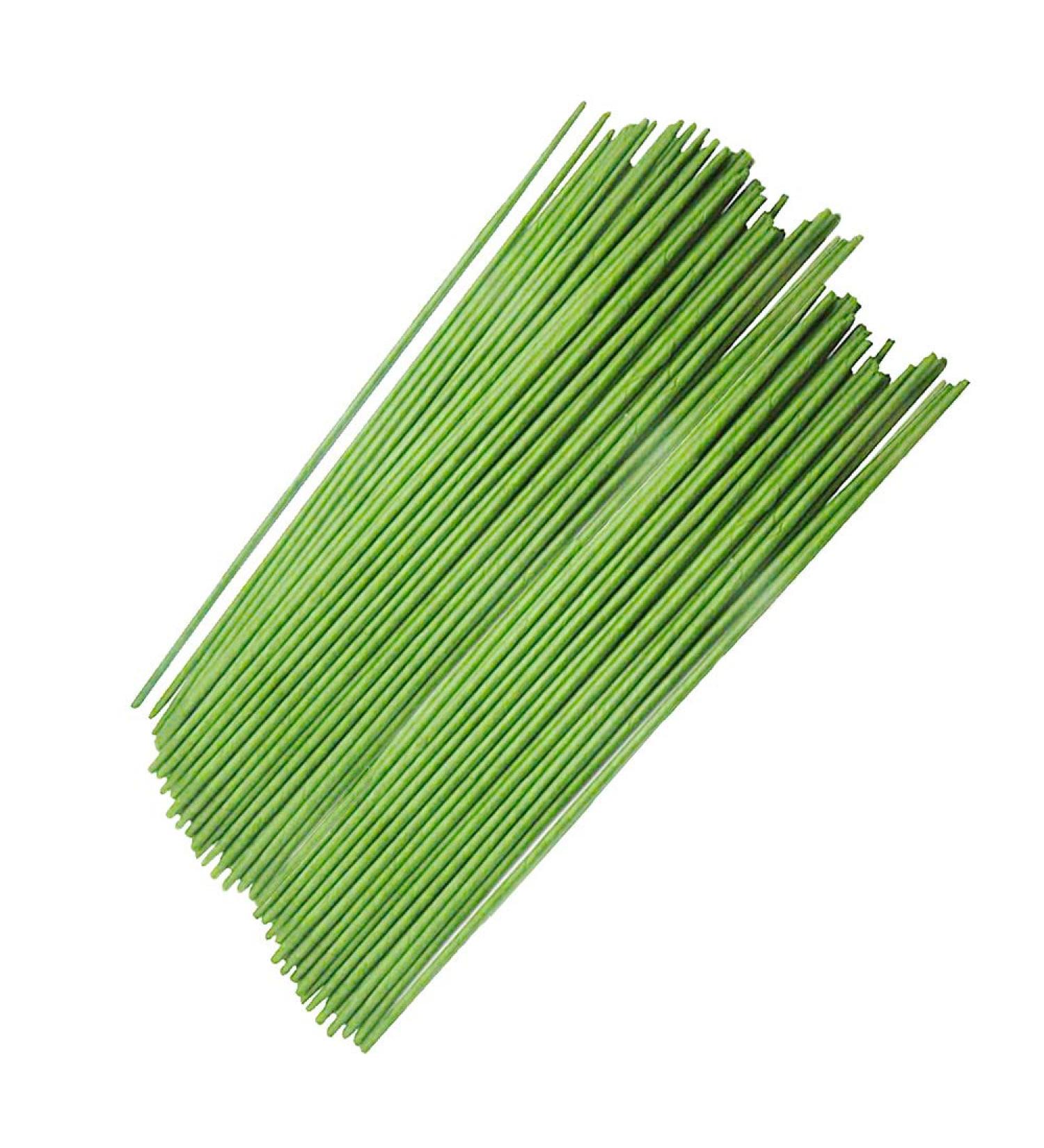 100PCS 18Ga Green Floral Stem Wires - DIY Crafts & Flower Arrangement (14 Inches) - Buy Online on GoSupps.com