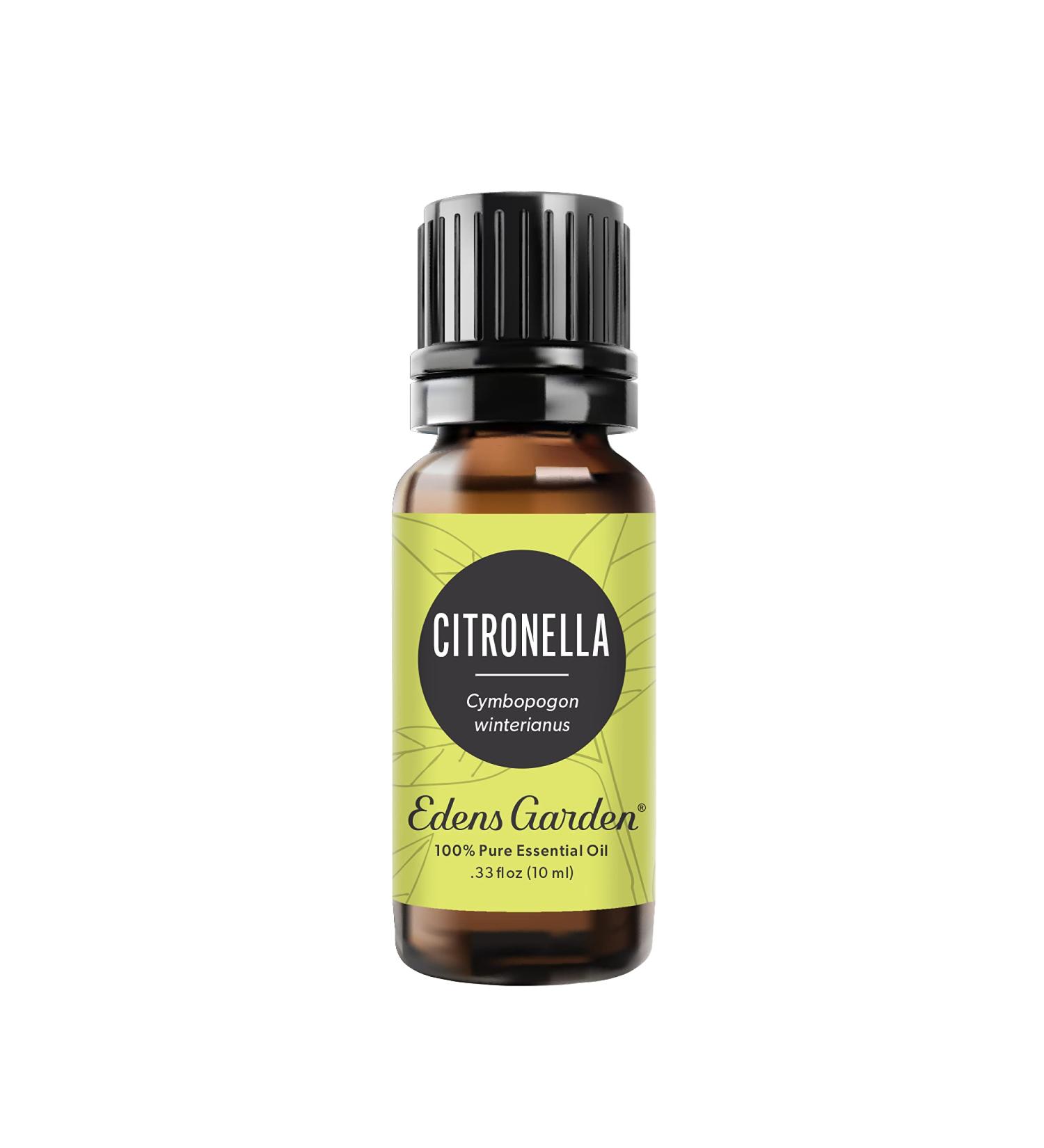 Edens Garden Citronella Essential Oil- 100% Pure Premium Grade Undiluted Natural Therapeutic Aromatherapy The Best for Diffuser Skin Candle Kid Safe 10 ml (.33 fl oz) - Buy Online on GoSupps.com