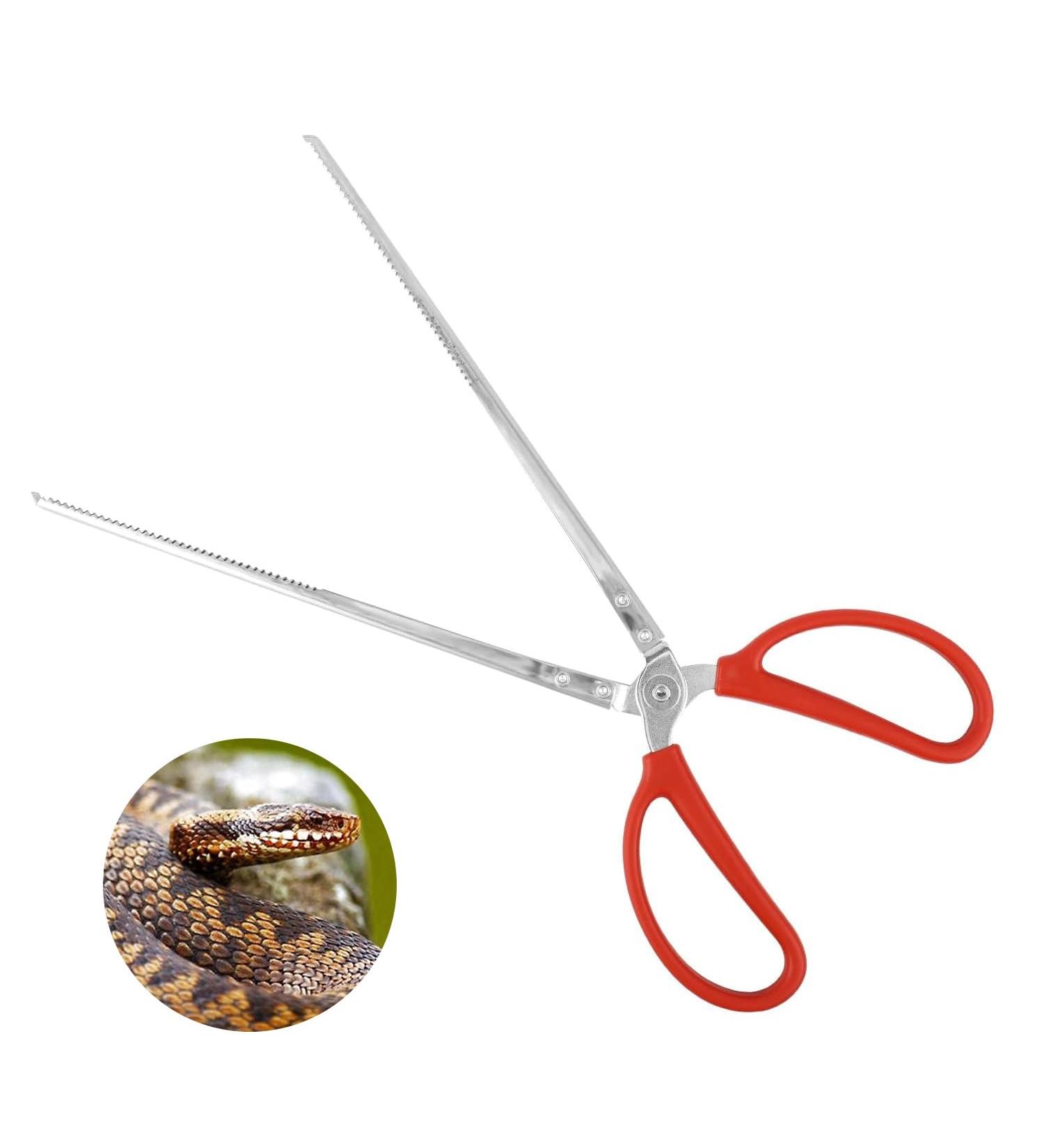 MFUOE Reptile Feeding Tongs Red Extra Long Large Tweezers Bearded Dragon Reptile Tank Accessories for Terrarium Reptile Vivarium - Buy Online on GoSupps.com