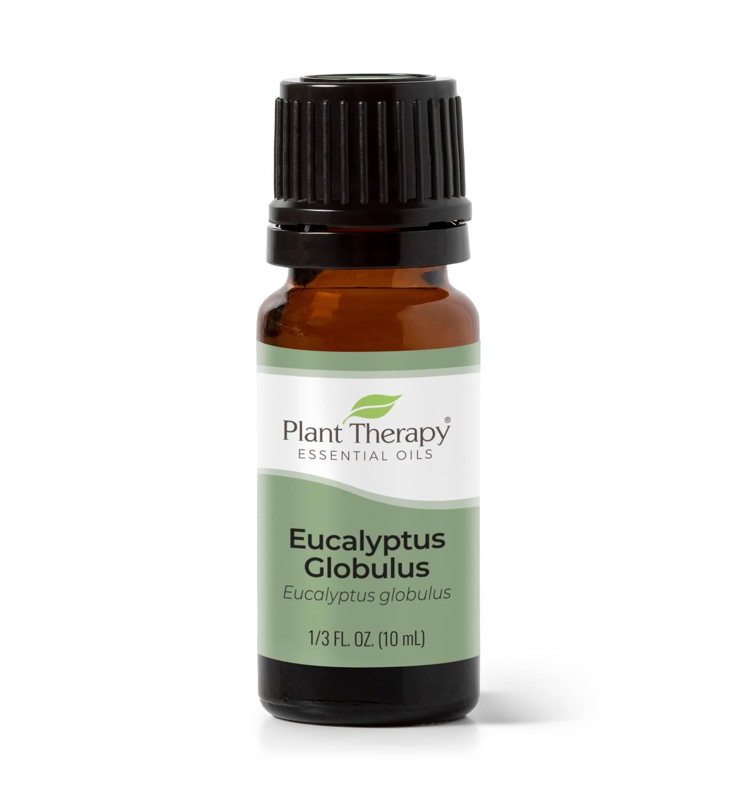 Buy 100% Pure Eucalyptus Globulus Essential Oil 10 mL - Therapeutic Grade for Diffuser Skin & Hair Aromatherapy DIYs | International Shipping - Buy Online on GoSupps.com