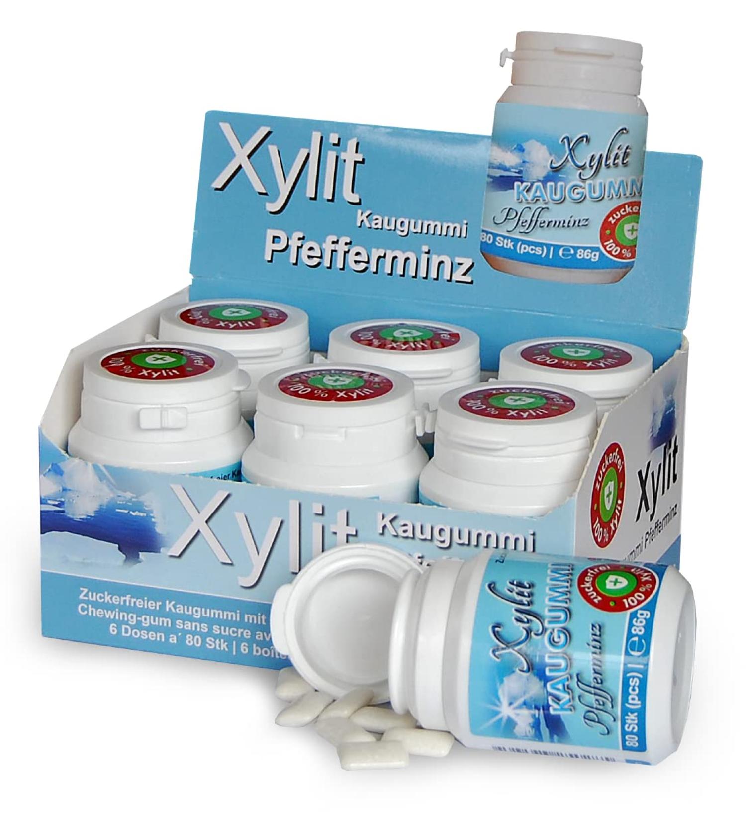 Xylitquelle Vegan Dental Care Chew - Sugar-Free Peppermint Gum with 100% Xylitol | 480 Pieces | Preserves Tooth Mineralization - Buy Online on GoSupps.com
