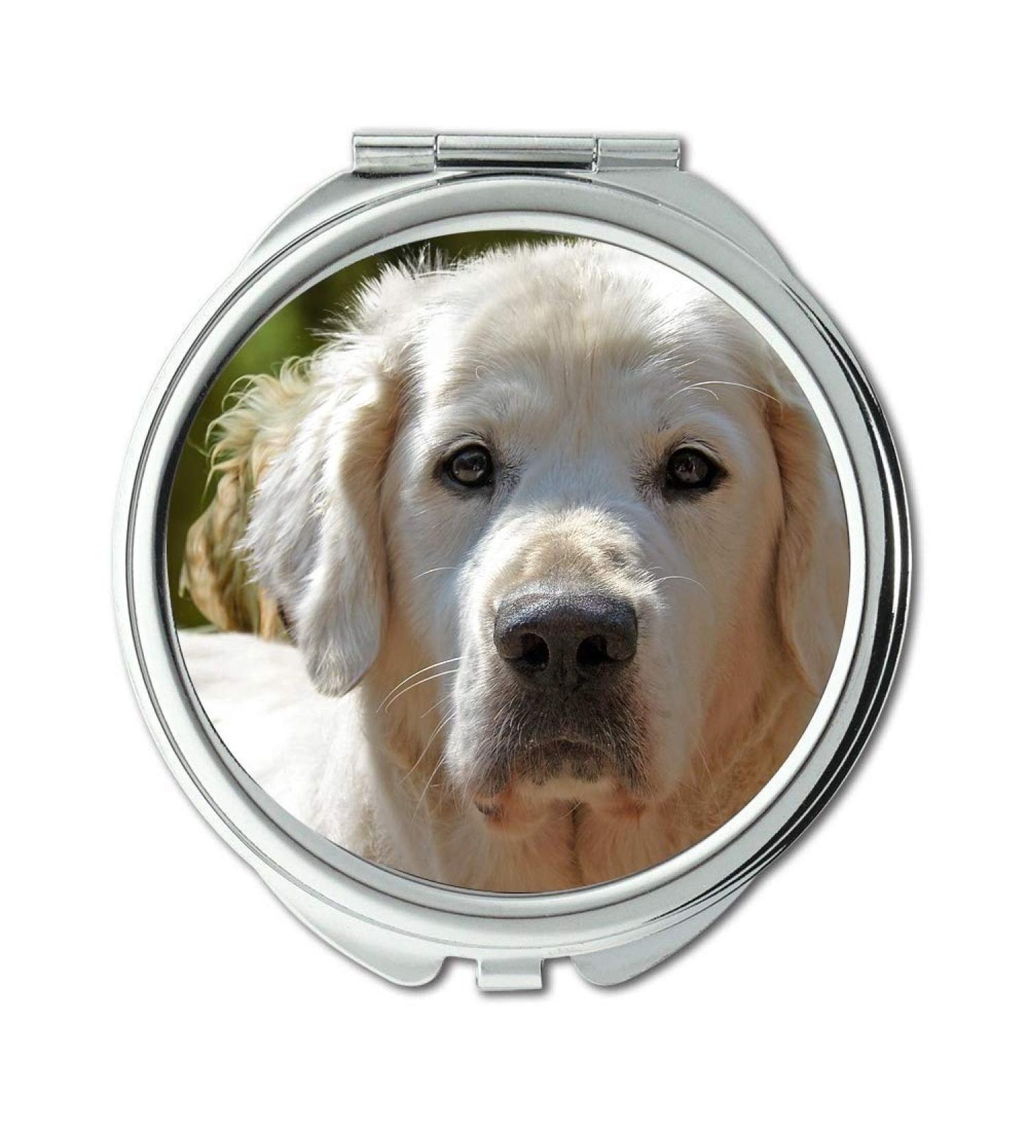 YENDOSTEEN Mirror makeup mirror Golden Retriever Isolated Dog Pet Animal Portrait Pocket Mirror portable mirror - Buy Online on GoSupps.com