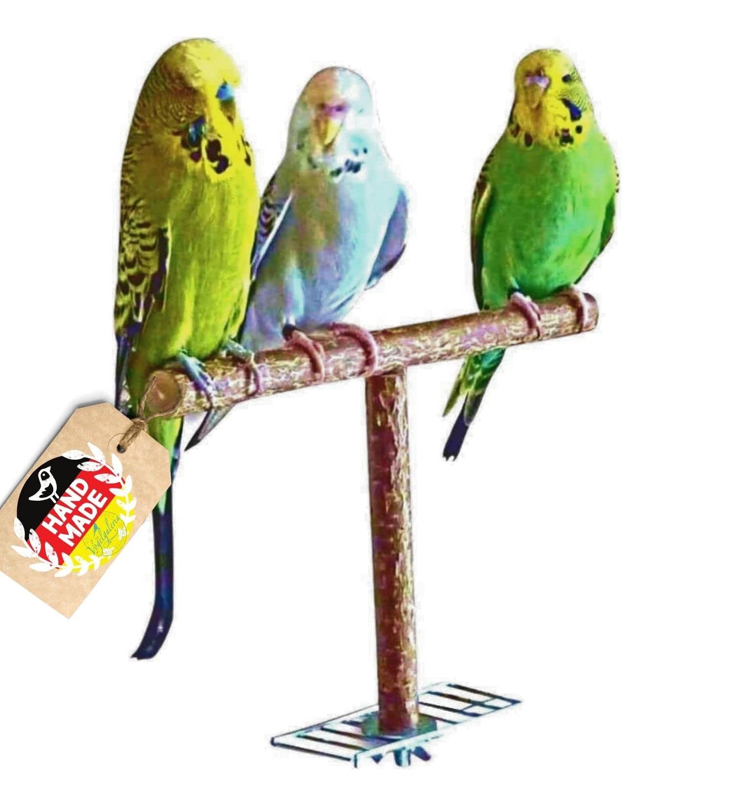 Handmade Approach Aid & Approach Bar for Bird Cages | Natural Wood Bird Accessories - International Shipping - Buy Online on GoSupps.com