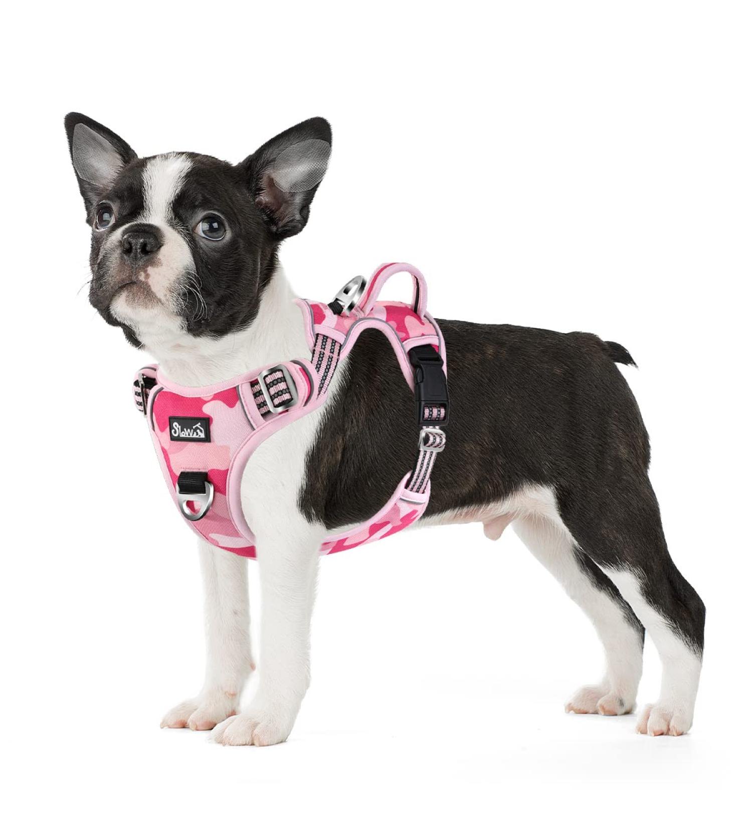 Buy Eyin Adjustable Dog Harness for Medium Dogs - Breathable Reflective Padded & Camouflage Pink | Perfect for Daily Training - Buy Online on GoSupps.com