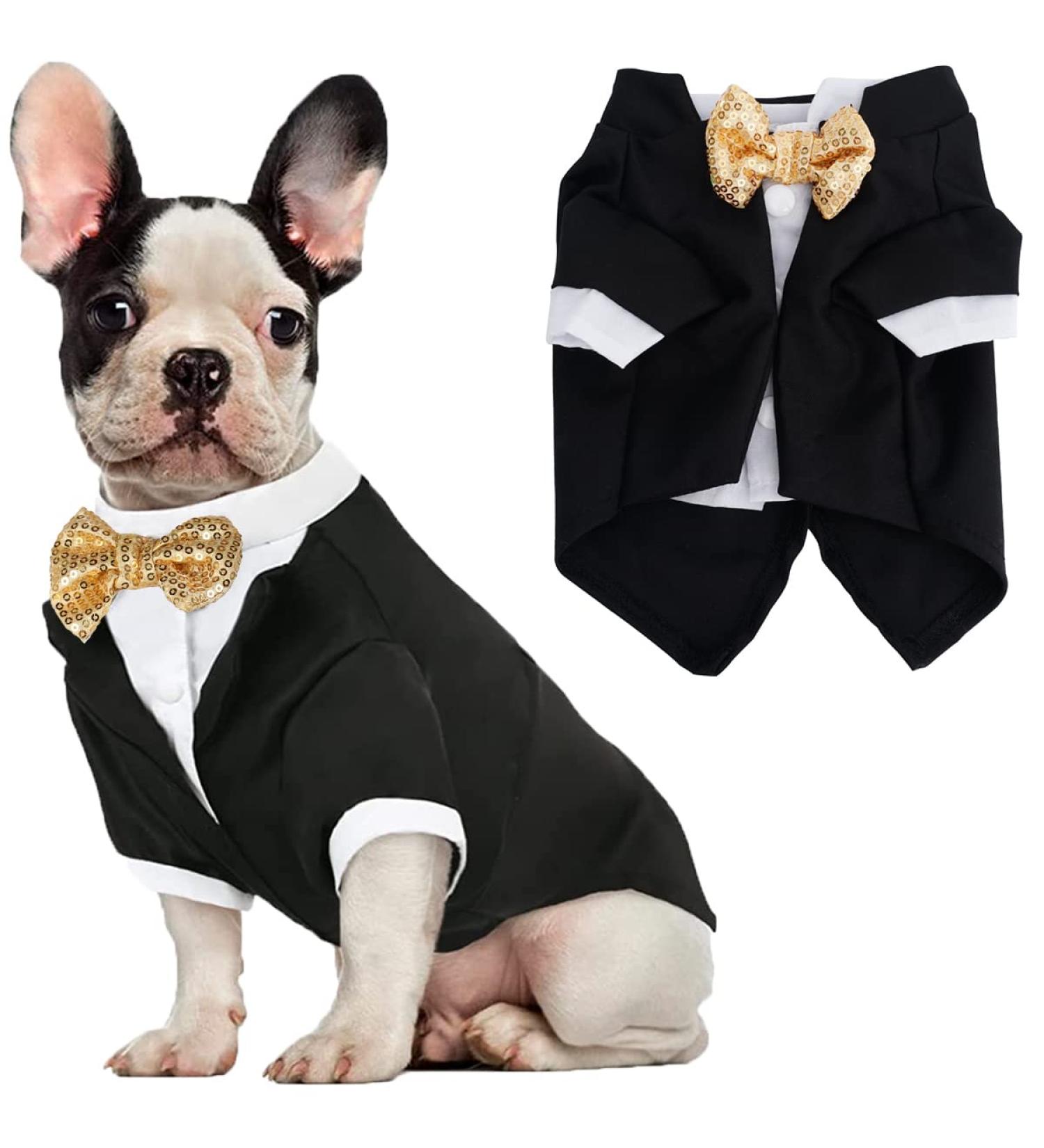 Black Dog Tuxedo Costume with Bow Tie for Halloween, Wedding, and Parties - Medium Size - Buy Online on GoSupps.com