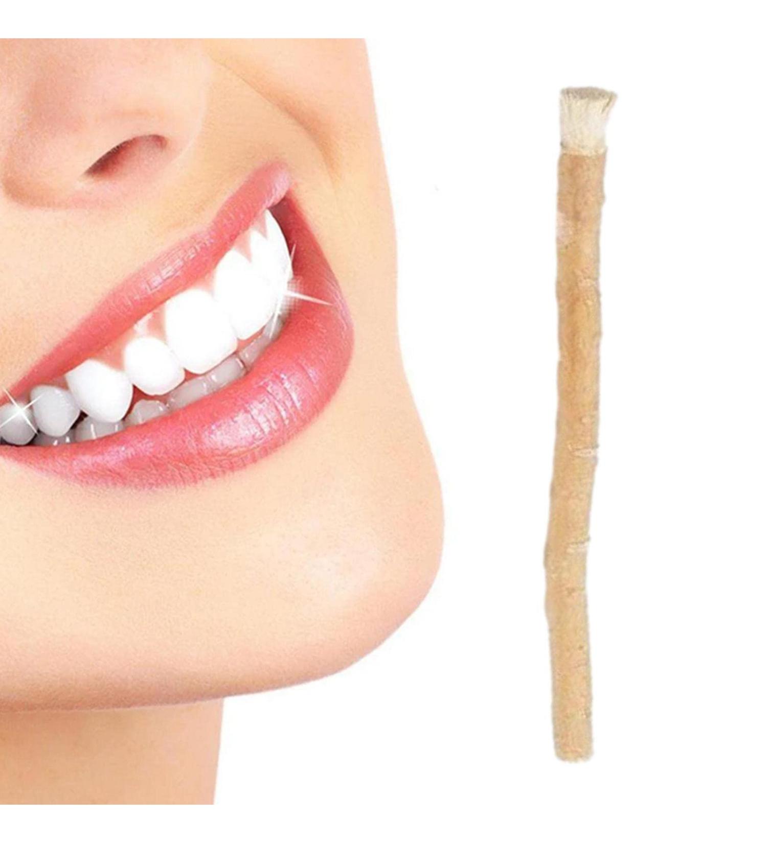 Dranng Stick | Natural Tooth Cleaning Toothbrushes for Humans Effective Traditional Stick from Middle East for Tooth Stain Removal Fresher Breath Healthy Teeth 1 Pcs - Buy Online on GoSupps.com