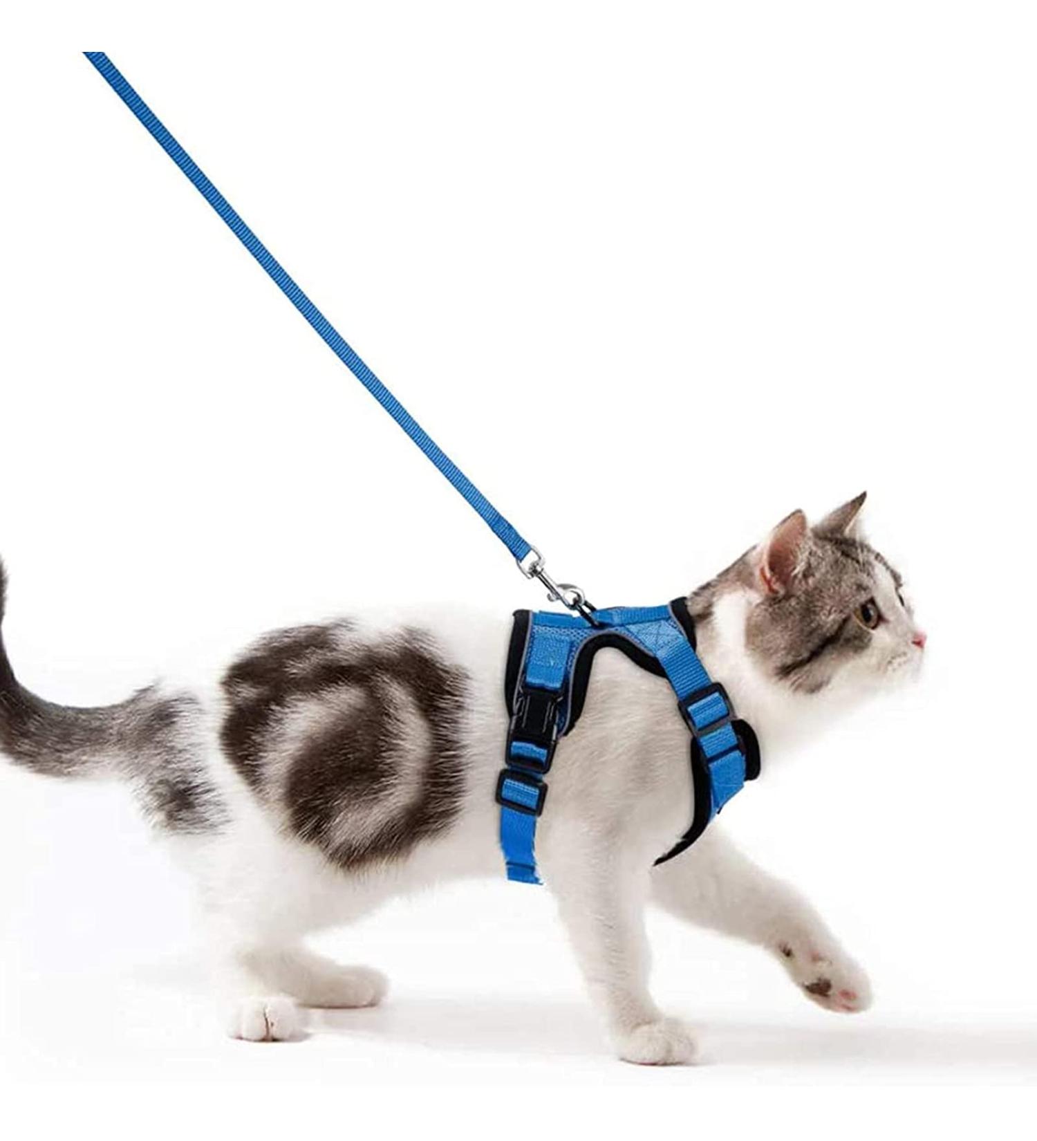 Breakproof Cat Dishes & Adjustable Kitten Vest Set - Reflective Stripes for Small Kittens (Blue XXS) - International Shipping - Buy Online on GoSupps.com