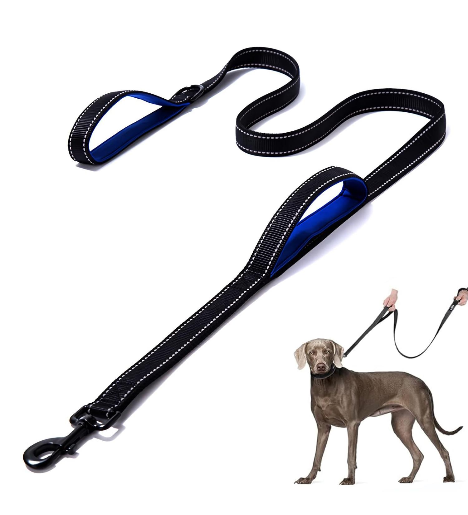 DDSCOLOUR Heavy Duty Dog Leash 5-6ft Long with Double Traffic Handle Reflective Perfect for Medium large dog leash strong Double Handle Lead Greater Control Safety Training (Black+Blue) 5 feet Black+blue - Buy Online on GoSupps.com