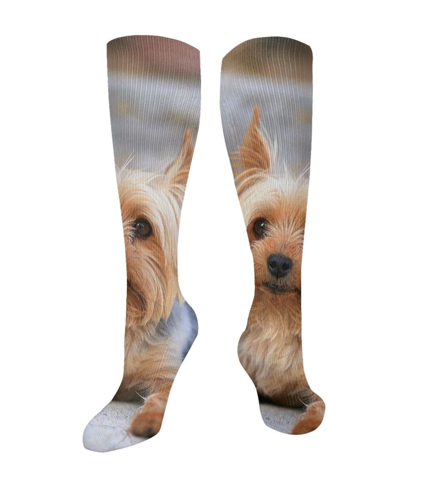 Miniature Yorkshire Terrier Photo Compression Socks for Men & Women - 15-20 mmHg Circulation Support for Running & Cycling - Buy Online on GoSupps.com