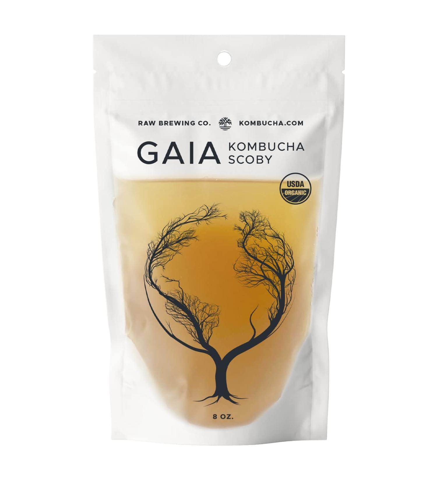 Kombucha.com Certified Organic Gaia Scoby 8oz + Strong Starter Liquid | Makes 1/2 or 1 Gallon | Includes FREE Organic Mixed Tea Blend Sample | Pack of 1 - Buy Online on GoSupps.com