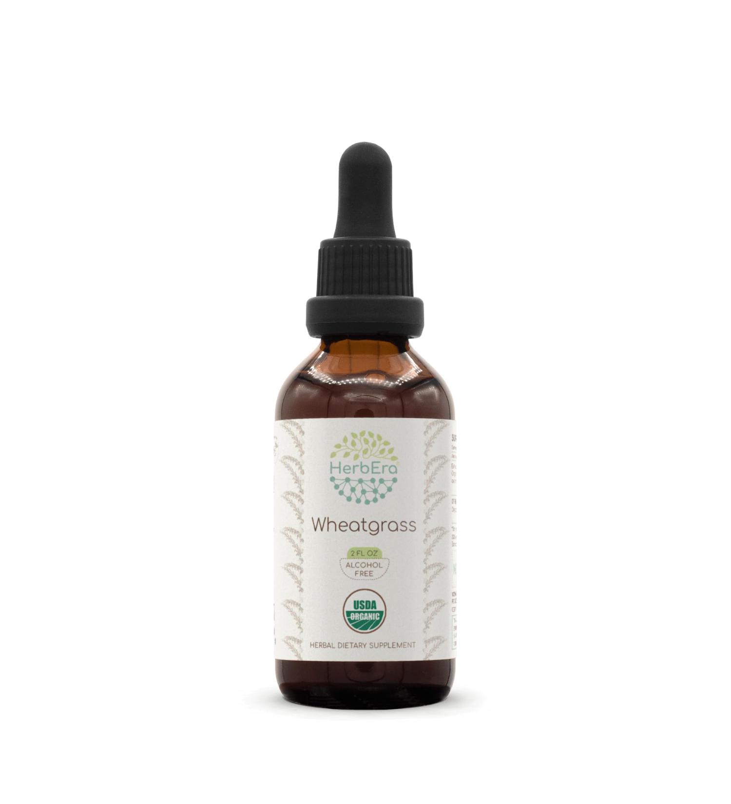 HerbEra Wheatgrass B60 USDA Organic Tincture | Alcohol-Free Extract High-Potency Herbal Drops Liquid Supplement | Certified Organic Wheatgrass (Triticum aestivum) Dried Leaf (2 oz) 2 Fl Oz (Pack of 1) - Buy Online on GoSupps.com