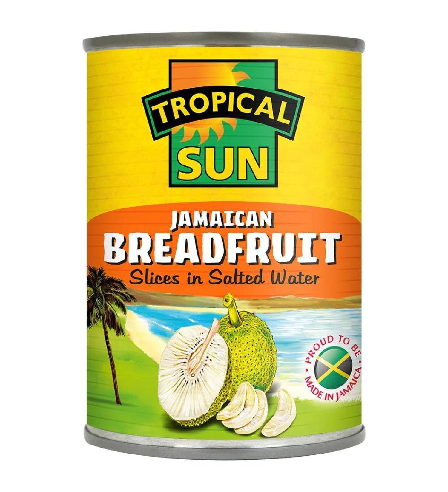 Tropical Sun Jamaican Breadfruit 540g Case of 6-Fd