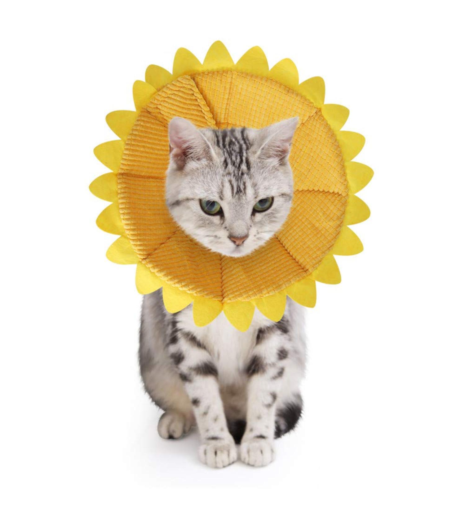 SLSON Cat Recovery Collar - Adjustable Soft Pet Cone for Cats and Puppies - Protective Cotton Cone in Yellow - Buy Online on GoSupps.com