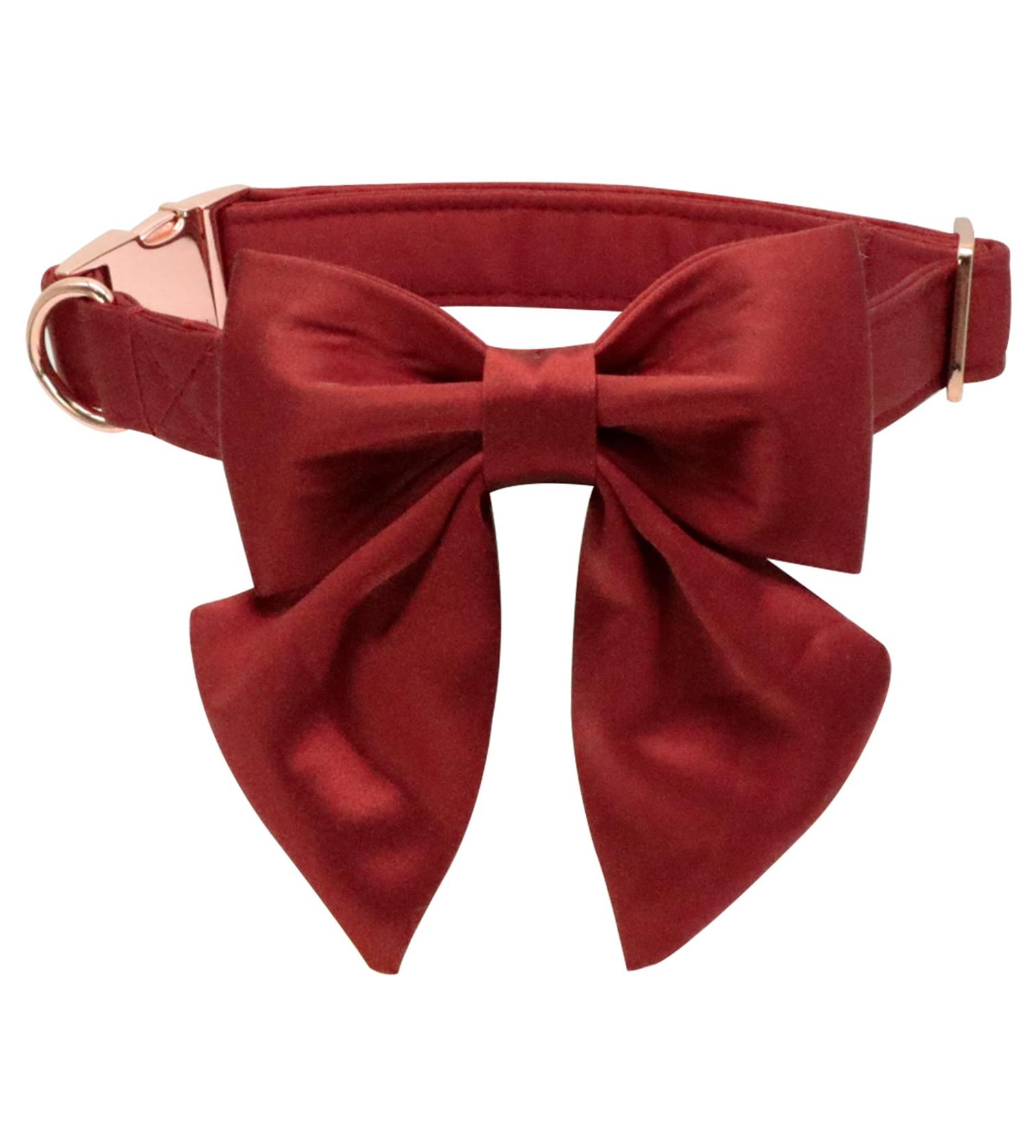 Comfortable Lionet Paws Dog Collar with Removable Fly - Silk Collar for Small Dogs (Neck 25-40cm) | Red - Buy Online on GoSupps.com