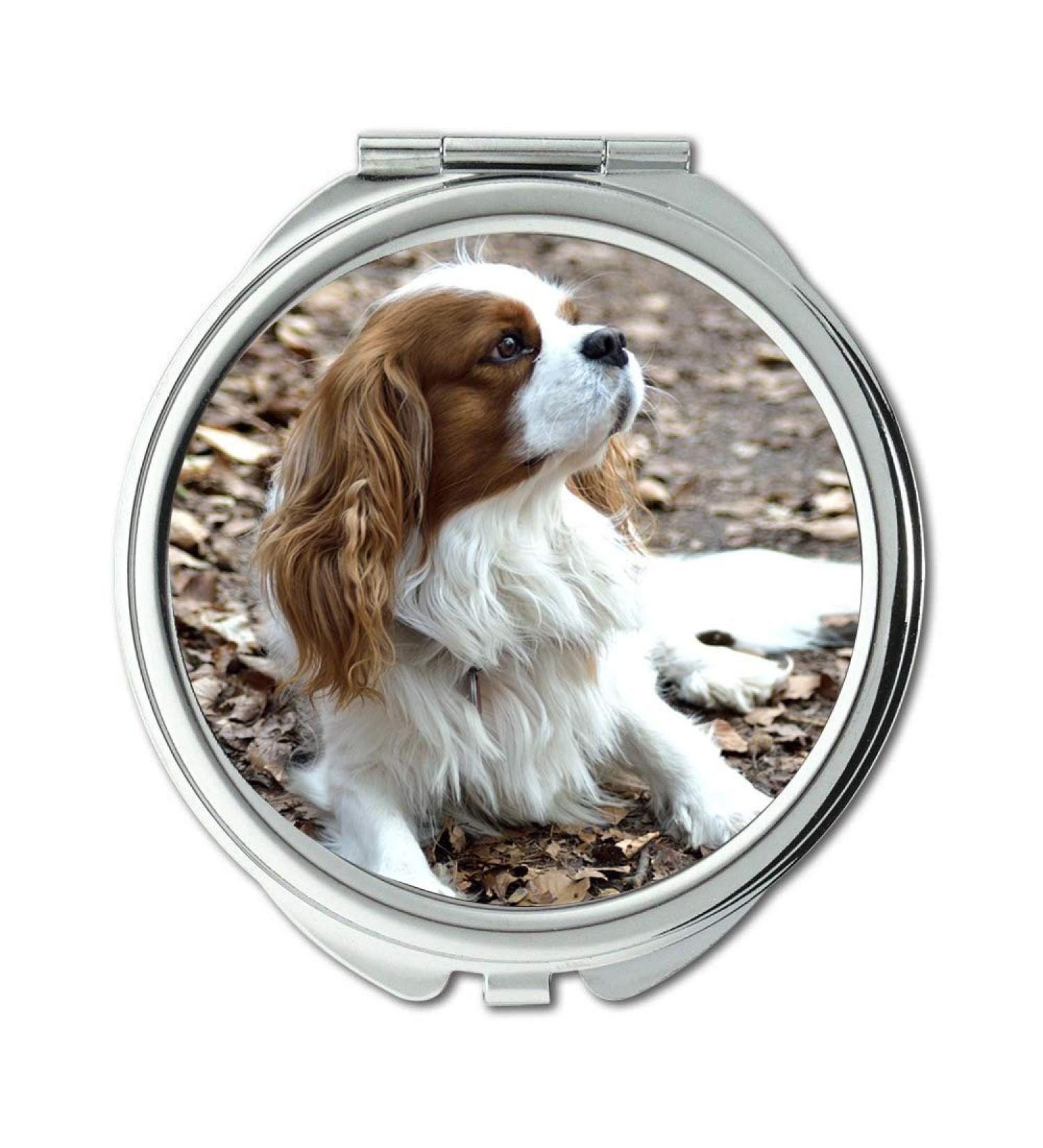 Mirror makeup mirror Dog Small Purebred Dog pocket mirror portable mirror - Buy Online on GoSupps.com