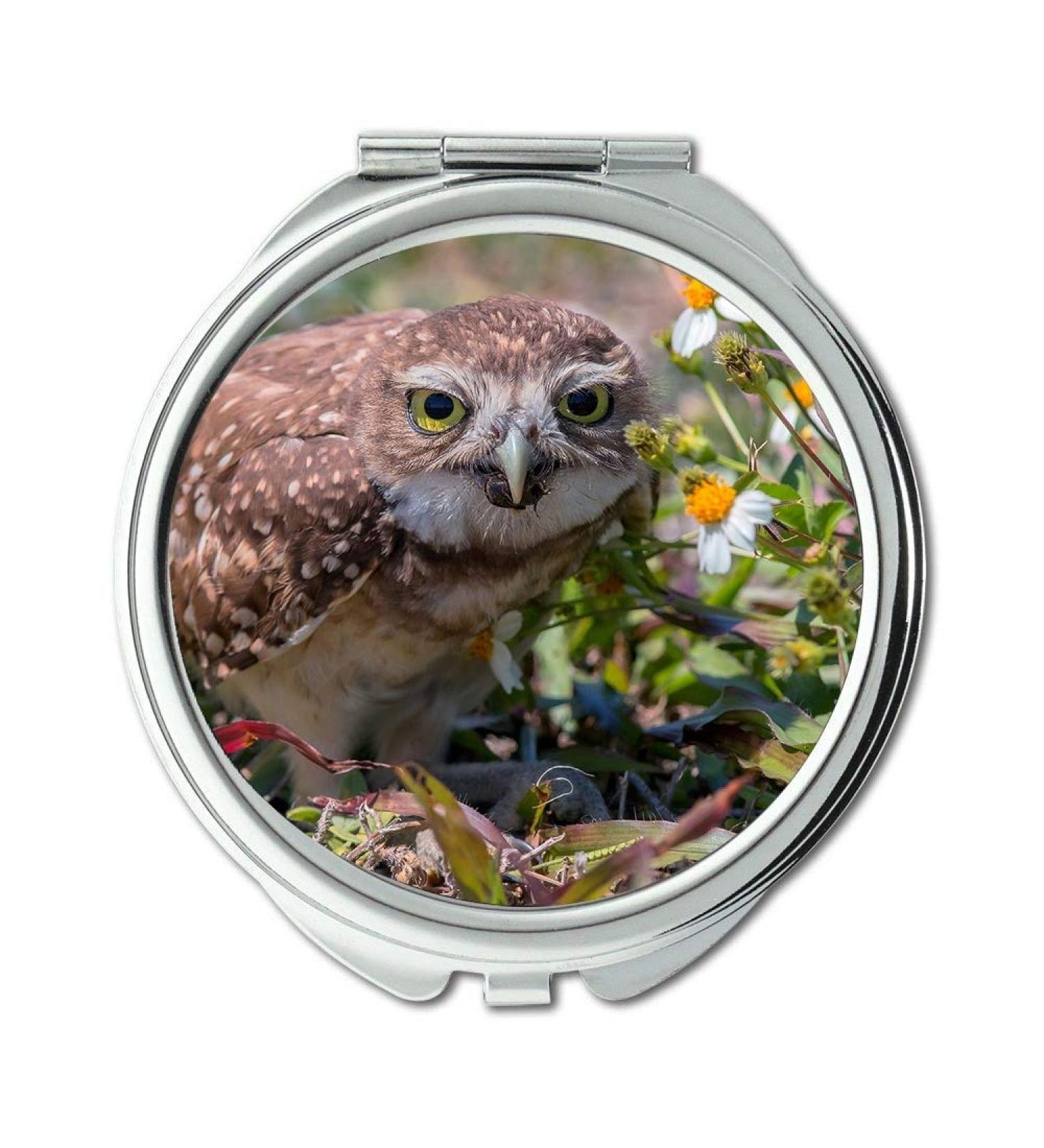 YENDOSTEEN Mirror makeup mirror owl eyeglasses What are you looking for pocket mirror portable mirror - Buy Online on GoSupps.com
