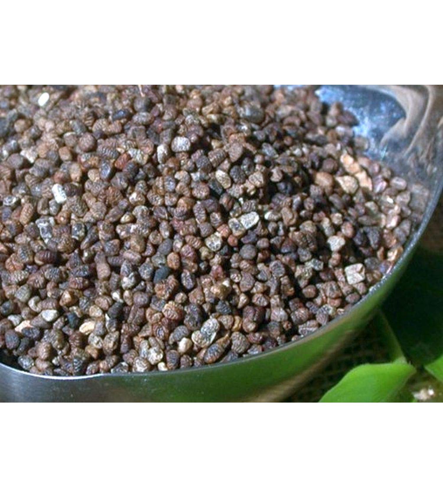 Krauterino24 Krauterino24 - Cardamom seeds whole cardamom (500 g)