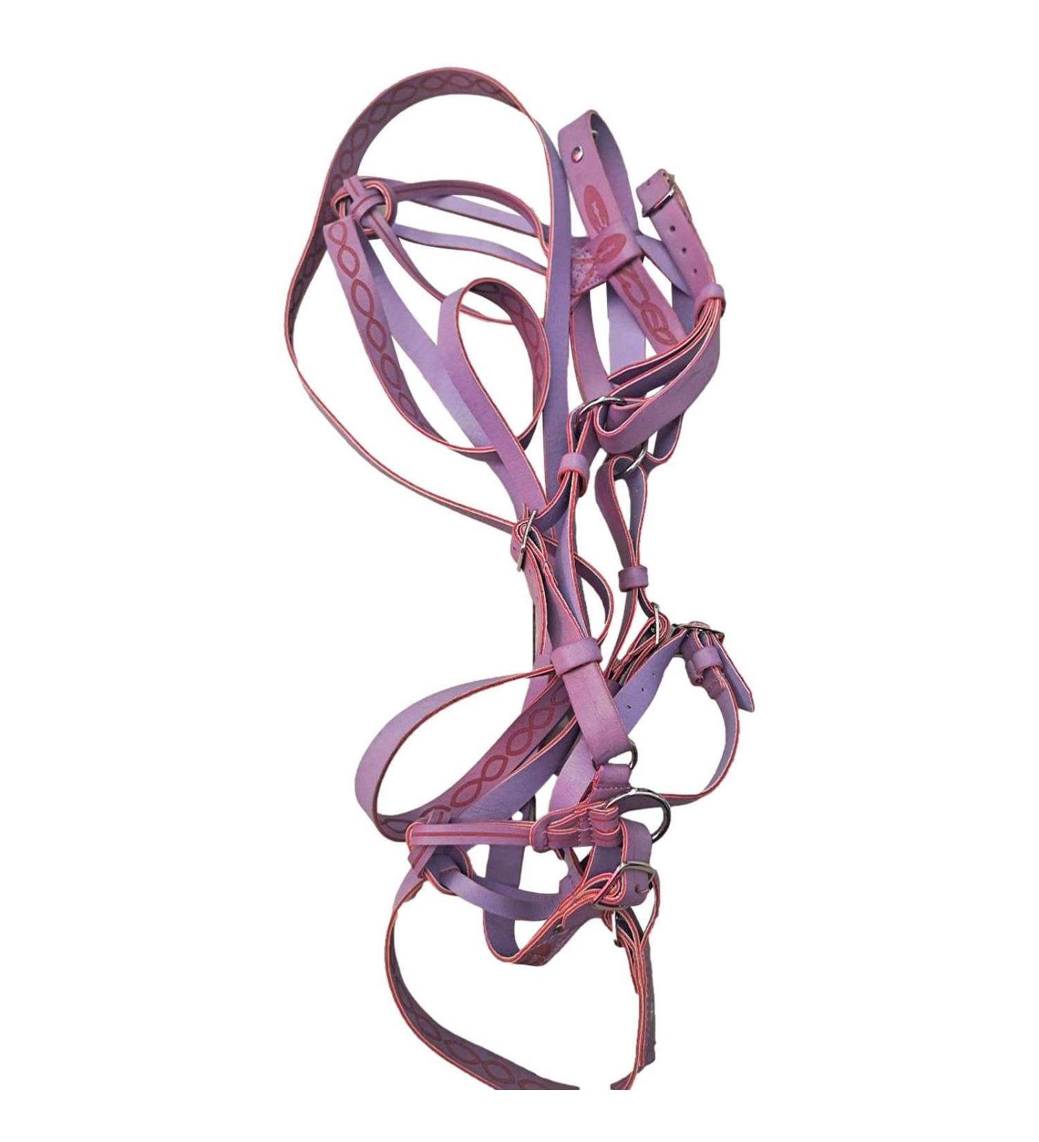 Halter Horse Tied Halter Adjustable Chin & Throat Snap Horse Safety Halter - Comfortable Padded Nylon Horse Halter for Training Equestrian Grooming Rowces Purple - Buy Online on GoSupps.com