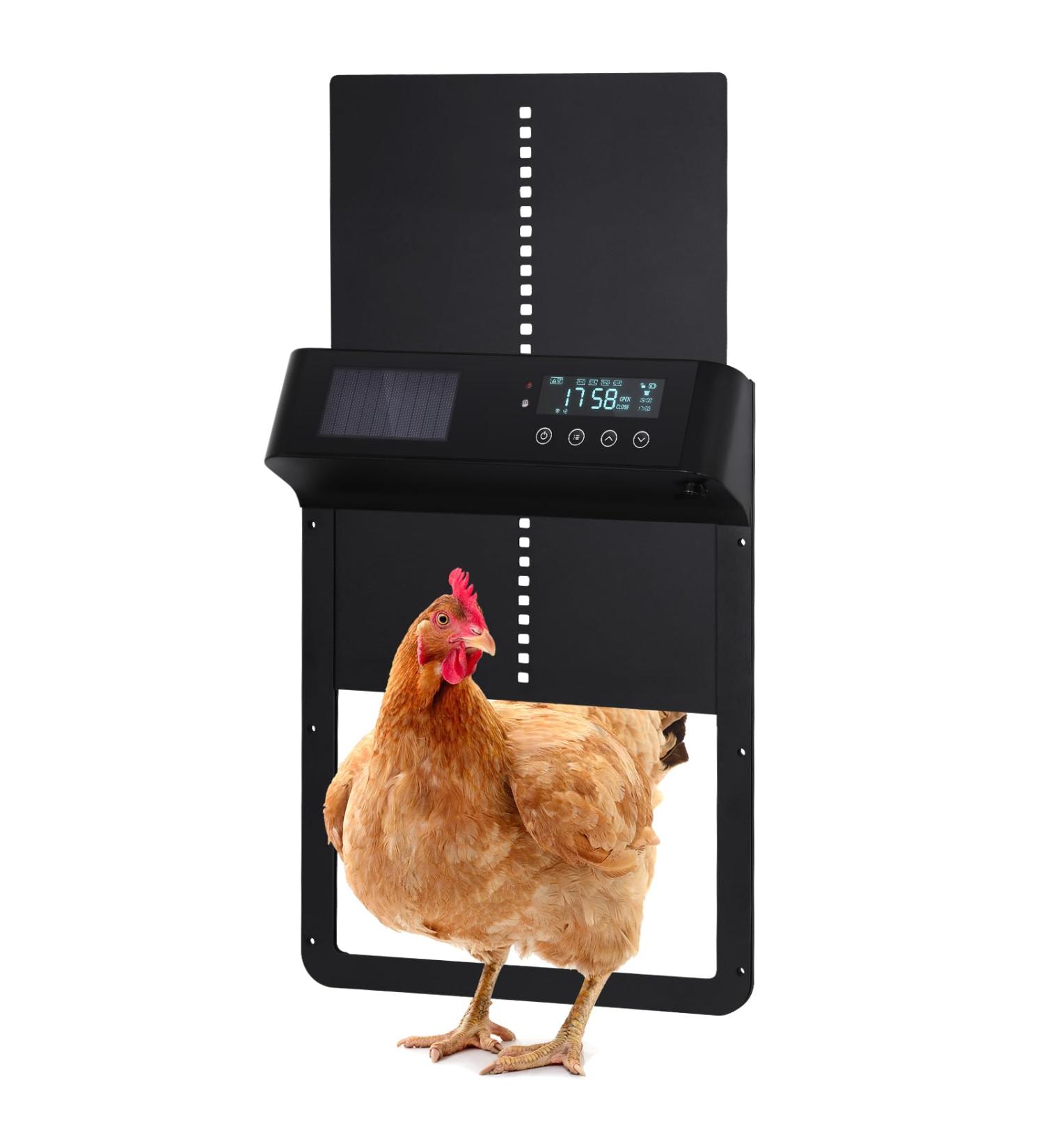 PUPIHOM Chicken Door - High-Quality Accessory for Coops | Buy Online Now - Buy Online on GoSupps.com