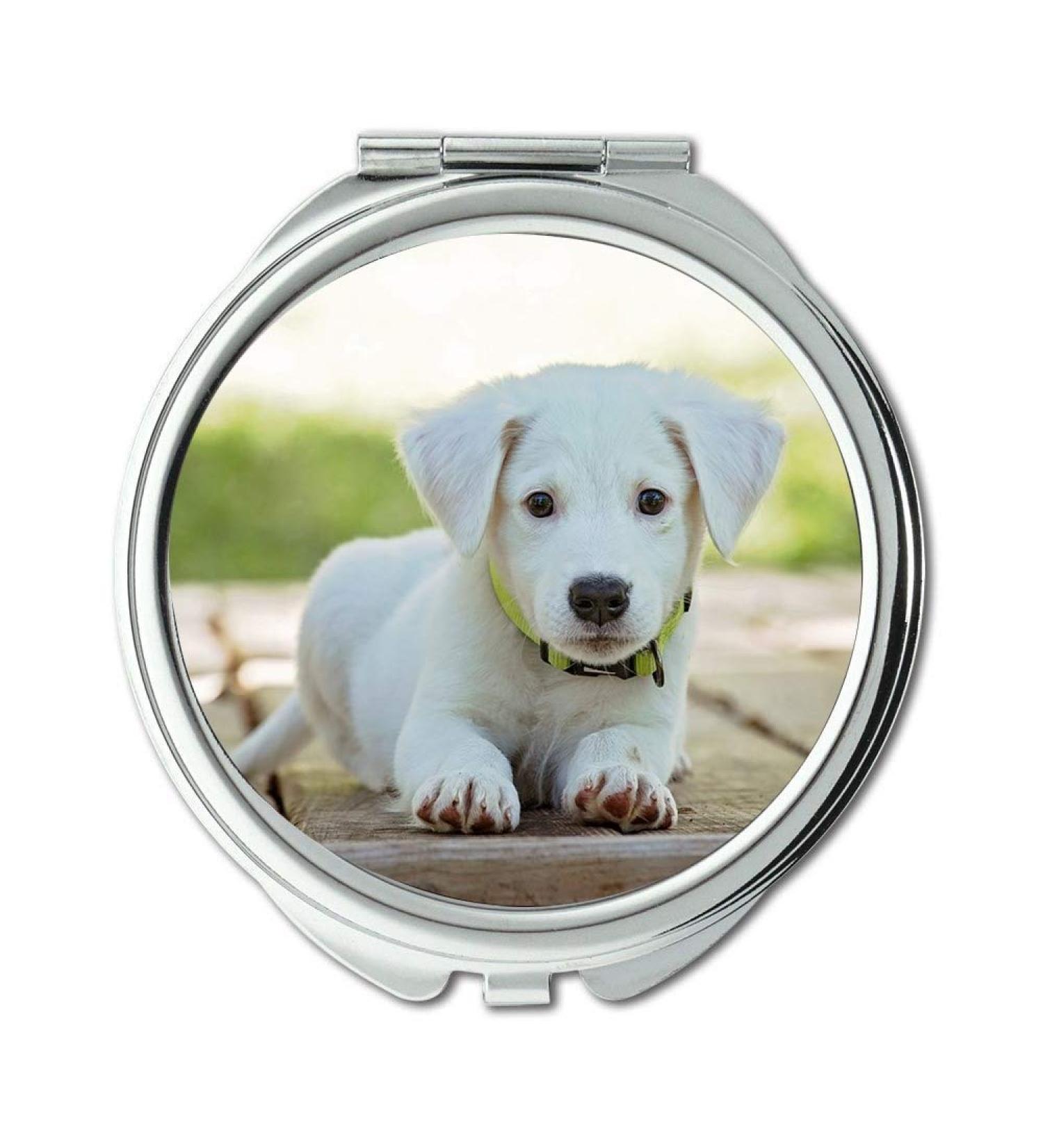 Mirror Travel Mirror Puppy Dog Pet Animal Cute White Adorable Canine pocket mirror portable mirror - Buy Online on GoSupps.com