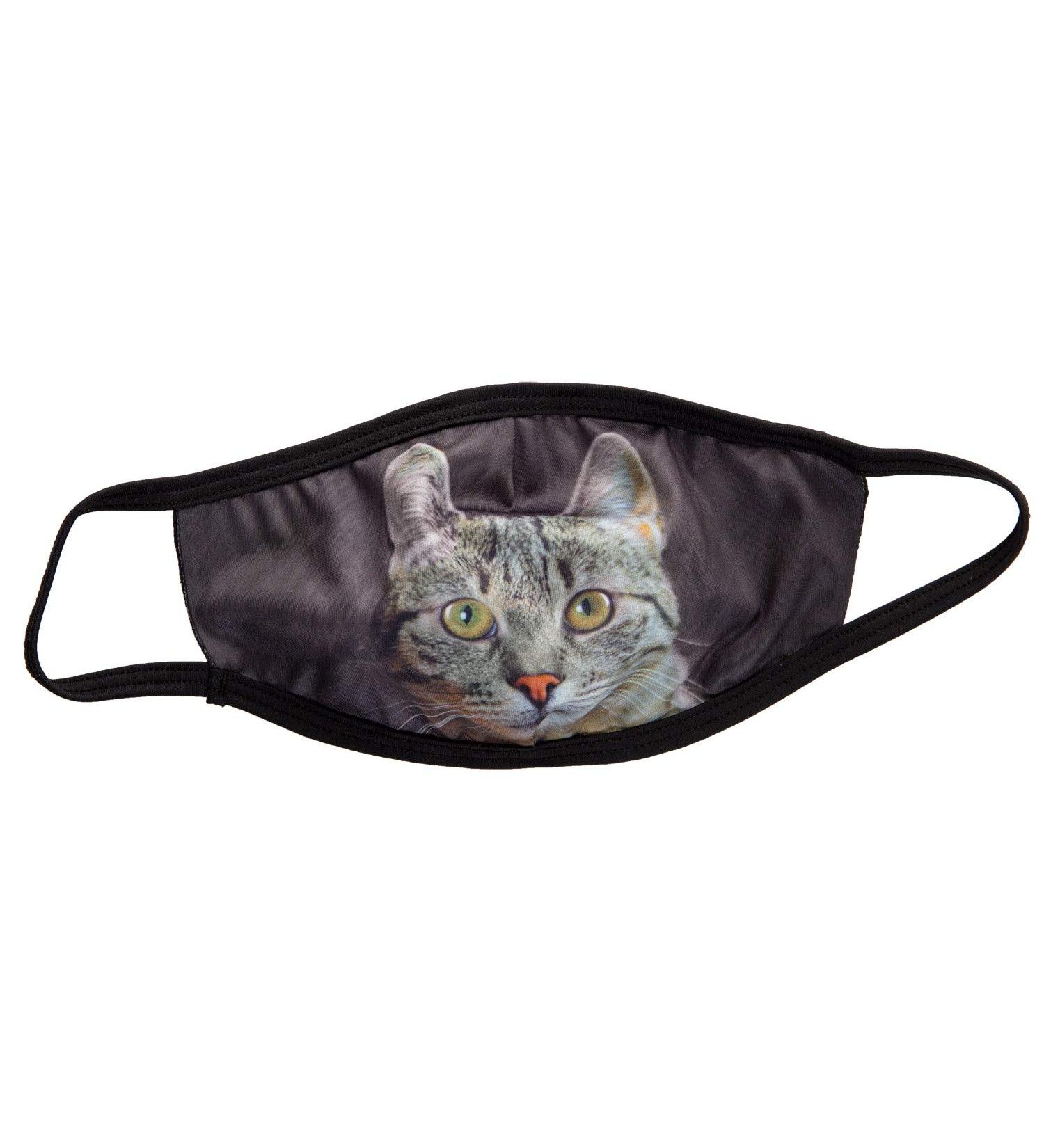 Cute Assorted Cat Face Mask - 3 Pack Tabby - Buy Online on GoSupps.com