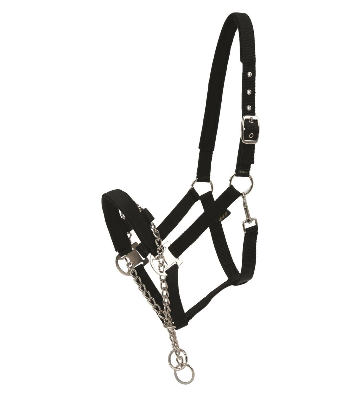 Buy HorseGuard Black Control Halter with Chain - Extra Full Stallion Size for Warmbloods | International Shipping Available - Buy Online on GoSupps.com