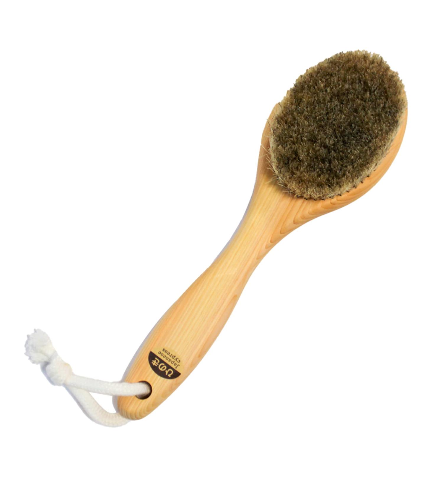 9 Short Handle Body Brush - Japanese Hinoki Wooden Handle - Horse Hair - Buy Online on GoSupps.com