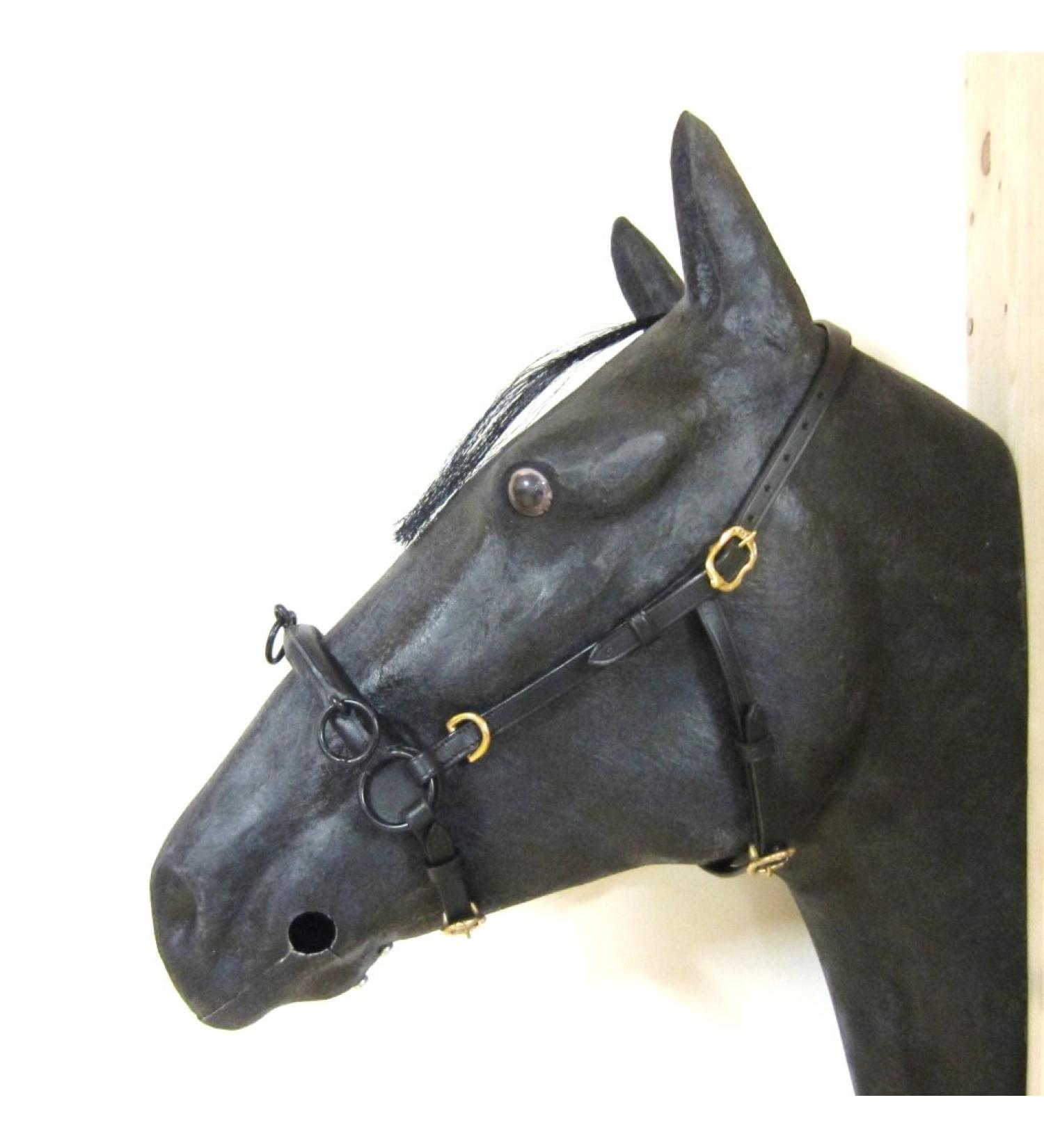 Buy PS Horse French Cavesson Cavecon with D-Rings - Soft Full Size Black & Gold Fittings | International Shipping - Buy Online on GoSupps.com