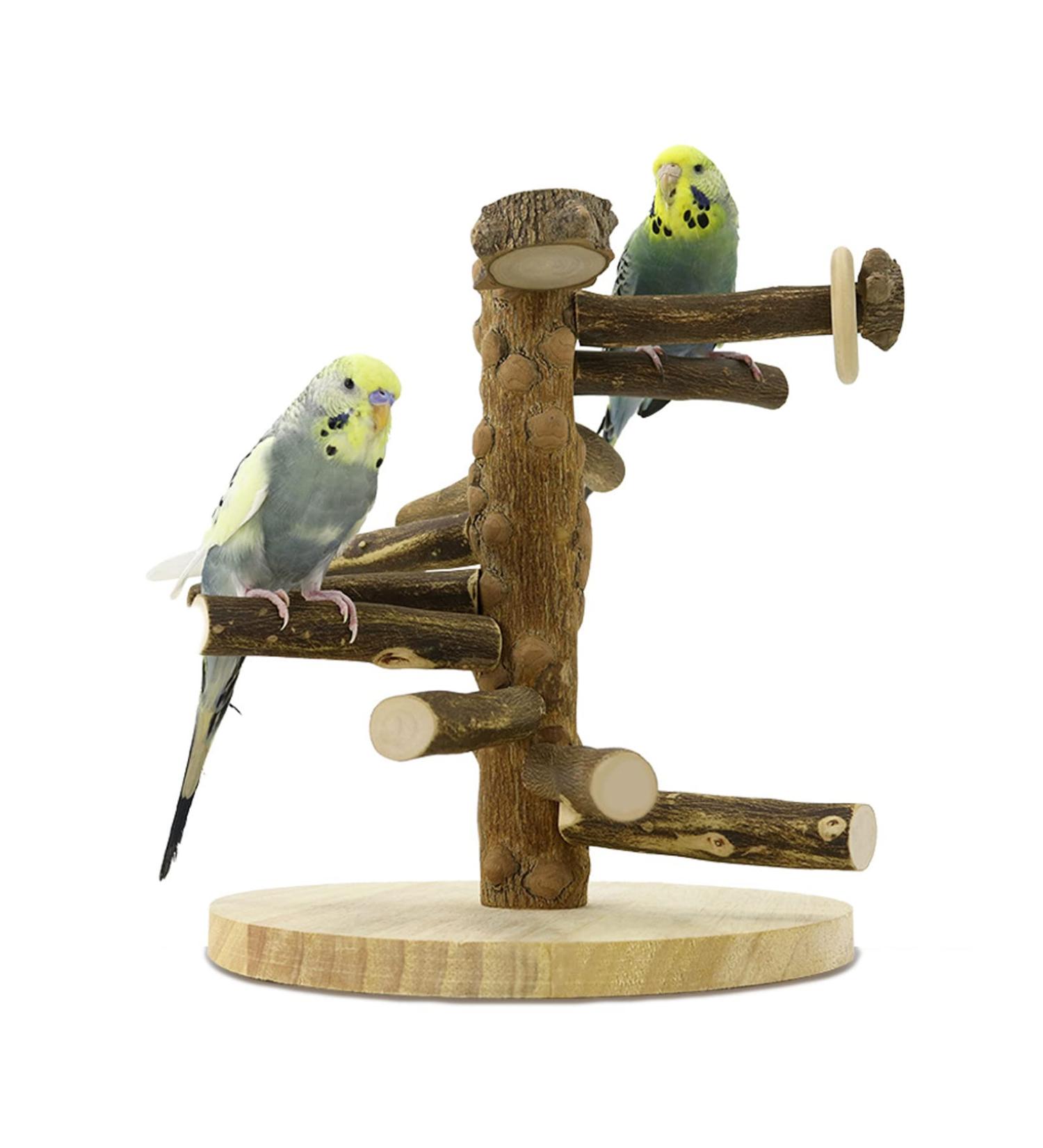 WishesMar Budgie Playground for Cockatiels & Parrots - 24.5x22x22 cm Wooden Bird Playset - International Shipping - Buy Online on GoSupps.com