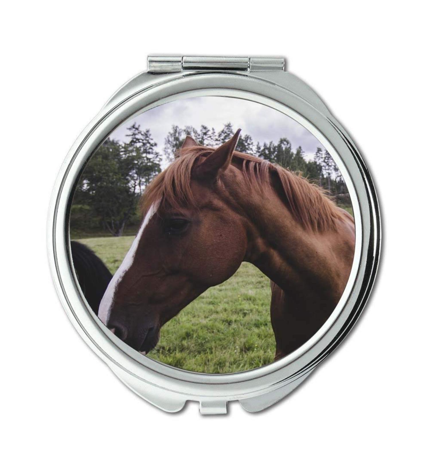 Mirror Compact Mirror agriculture animal barn pocket mirror portable mirror - Buy Online on GoSupps.com